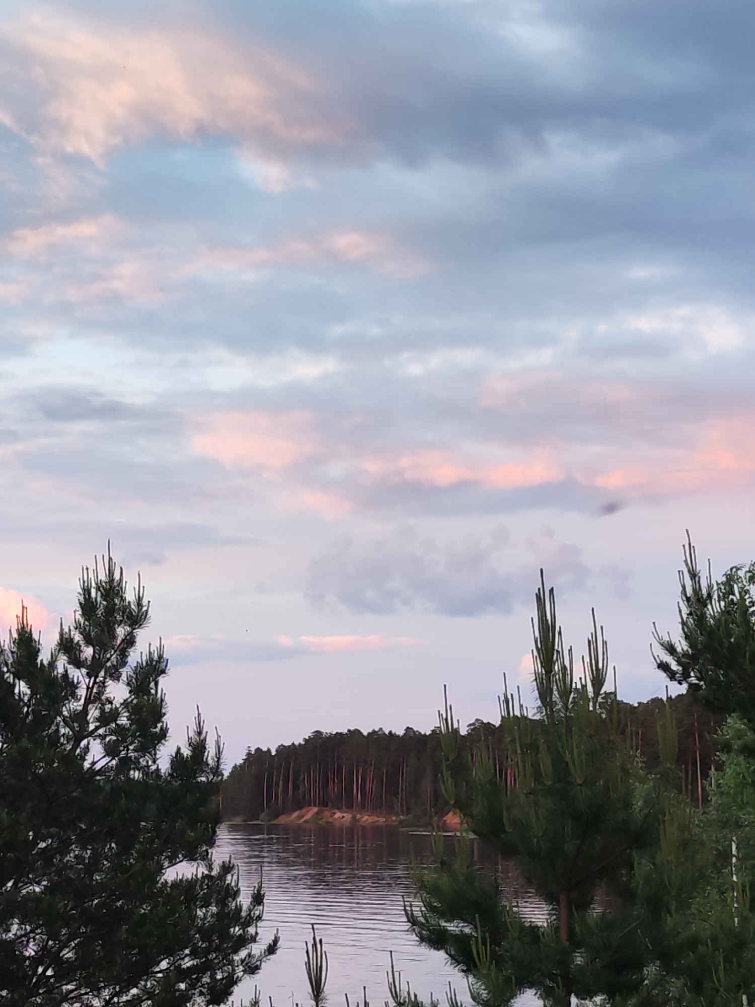 The image depicts a serene landscape at twilight, possibly in the vicinity of Chaikovsky, Russia. A body of water, likely a river or lake, fills the middle ground, reflecting the subtle colors of the sky. The water's surface is relatively calm, creating a mirror-like effect.
In the background, a dense line of trees forms a horizon, indicating a forest or wooded area. The trees appear to be predominantly evergreens, their dark silhouettes contrasting against the fading light.
The foreground features pine trees, partially framing the scene. Their needles are a vibrant green, providing a stark contrast to the softer tones of the sky and water.
The sky is a mix of light blue, gray, and pink hues, suggesting either sunrise or sunset. The clouds are scattered and contribute to the overall tranquil atmosphere of the scene.
There are no people visible in the image. The setting appears natural and untouched.