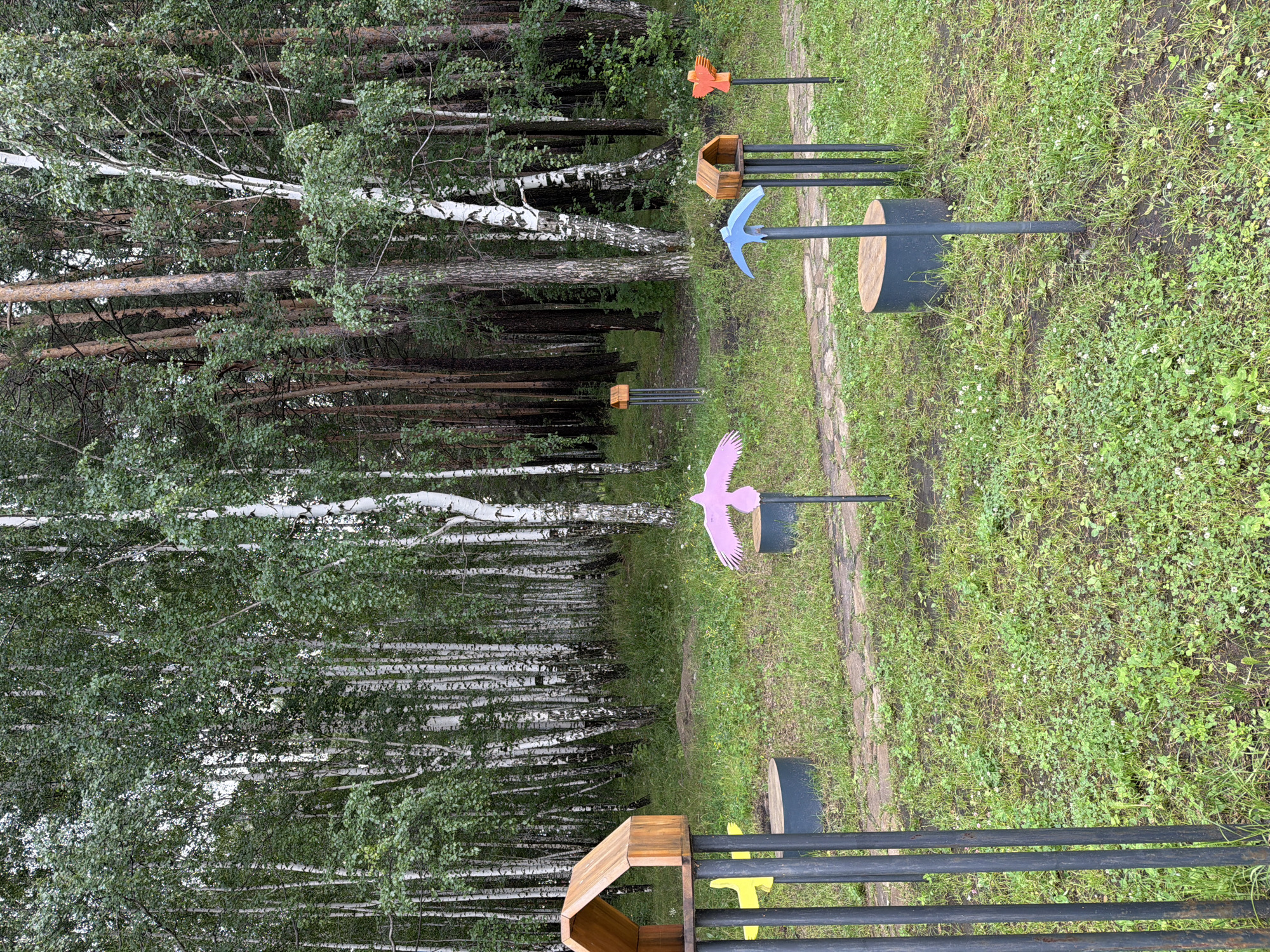 The image depicts a park-like setting in Zarechny, Russia, characterized by a dense forest of birch and pine trees. The ground is covered with grass and scattered small white flowers. A path, seemingly made of stone or concrete pavers, winds through the scene.
Several decorative elements are placed along the path. On the left, a large wooden birdhouse shaped structure is supported by dark gray vertical poles. To its right, a bright yellow, stylized bird figure is attached to a pole. Further to the right, a flat, round, dark gray platform sits on the ground.
In the mid-ground, a pink, stylized bird figure is mounted on a pole. Beyond this, a small wooden birdhouse structure, similar to the one on the left but smaller, is elevated on dark gray poles. To the right of this, a blue, stylized bird or tool shape is mounted on a pole. Another small wooden birdhouse is positioned further to the right, and a bright orange, stylized bird figure is mounted on a pole next to it.
The overall impression is an outdoor recreational area with artistic elements integrated into a natural forest environment. The lighting suggests an overcast day. No people are visible in the image.