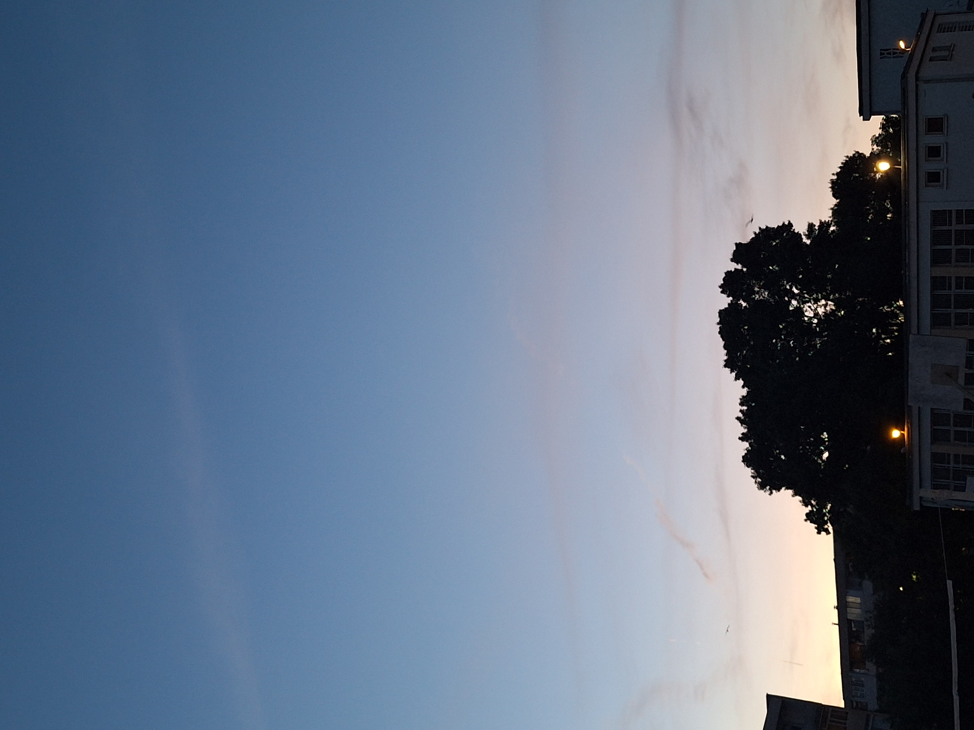 The image shows a silhouetted view of buildings and a large tree against a twilight sky. The sky is a gradient of deep blue at the top, fading to lighter blues and pinks near the horizon. There are wispy clouds present. In the foreground, the dark silhouettes of buildings and lush foliage are visible. Several streetlights are illuminated, casting a warm glow. A bird is seen in flight in the middle distance. The scene appears to be an urban setting, likely Varna, Bulgaria, given the architectural style of the buildings and the overall ambiance.