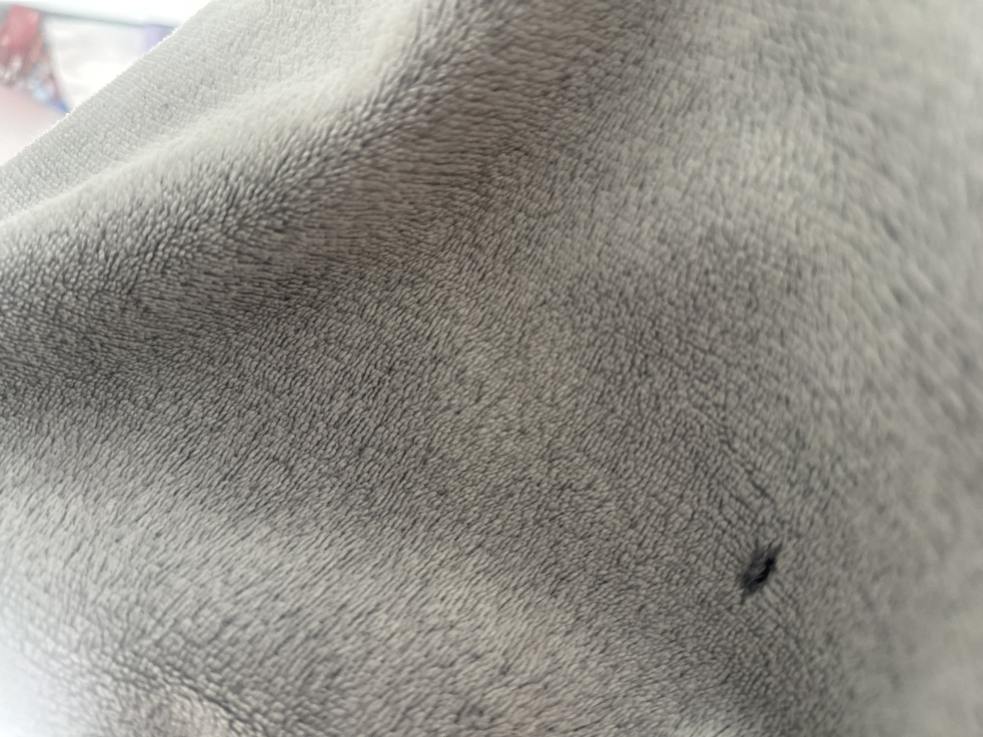 This is a close-up, abstract image of a grey, fuzzy textile. The fabric has a soft, plush texture with visible fibers running in a consistent direction, creating subtle lines and shadows across the surface. The lighting suggests an indoor environment, possibly near a window, as one area of the fabric appears brighter and slightly blown out. In the lower left quadrant, there is a small, dark speck that appears to be a small stain or imperfection on the fabric. The image is devoid of any context that would place it within the city of Shumen, Bulgaria, or any other specific geographic location.