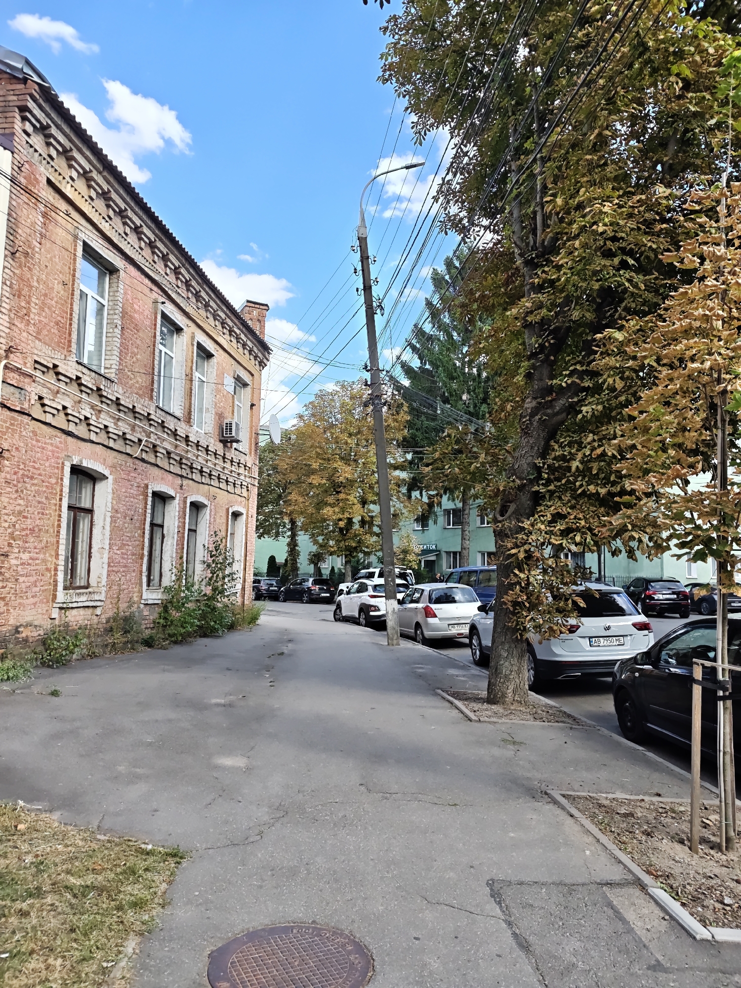 A street scene in Vinnytsia, Ukraine features a red brick building on the left with multiple windows and architectural detailing along the roofline. A paved sidewalk runs alongside the building, bordered by dry grass and small plants. Several cars are parked along the street, including a white SUV with a Ukrainian license plate and a black sedan. Trees with autumn foliage line the opposite side of the street, with power lines strung between utility poles. The sky is blue with scattered white clouds.