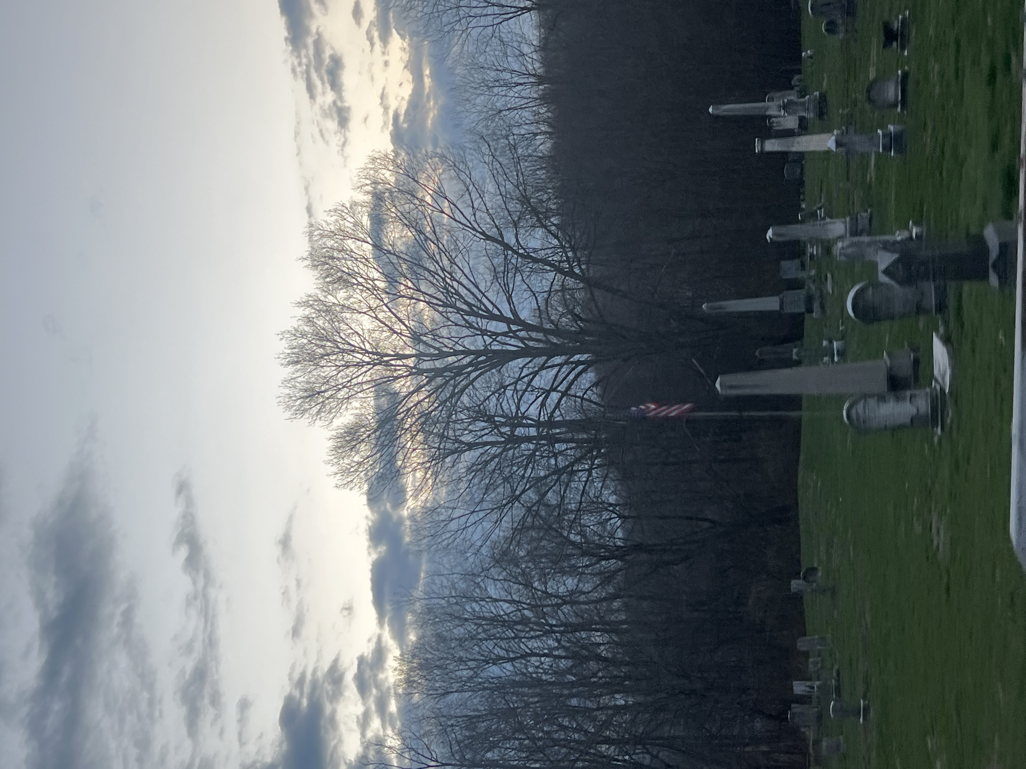 The image shows a graveyard scene in Marlboro, United States of America. It is partially obscured by trees, their branches bare. The sky is cloudy and gray. An American flag is visible amongst the trees. Headstones populate the green field.