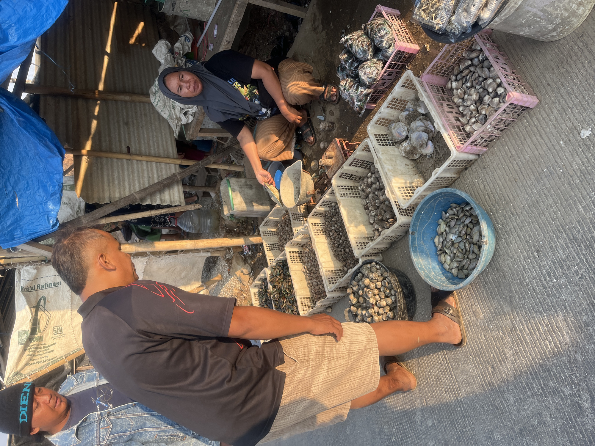 Two men and a woman are at a street market in Kedungmalang, Indonesia. The man on the left is wearing a denim jacket and a black beanie. The man in the middle is wearing a black t-shirt and light-colored shorts. He is looking down at some shellfish. The woman on the right is wearing a grey hijab and a black t-shirt. She is sitting down and holding a scale. In front of them are various crates and buckets filled with shellfish. The market appears to be set up outdoors, with a corrugated metal roof providing some shade. The ground is paved with concrete. The overall scene depicts a typical day at a local market.