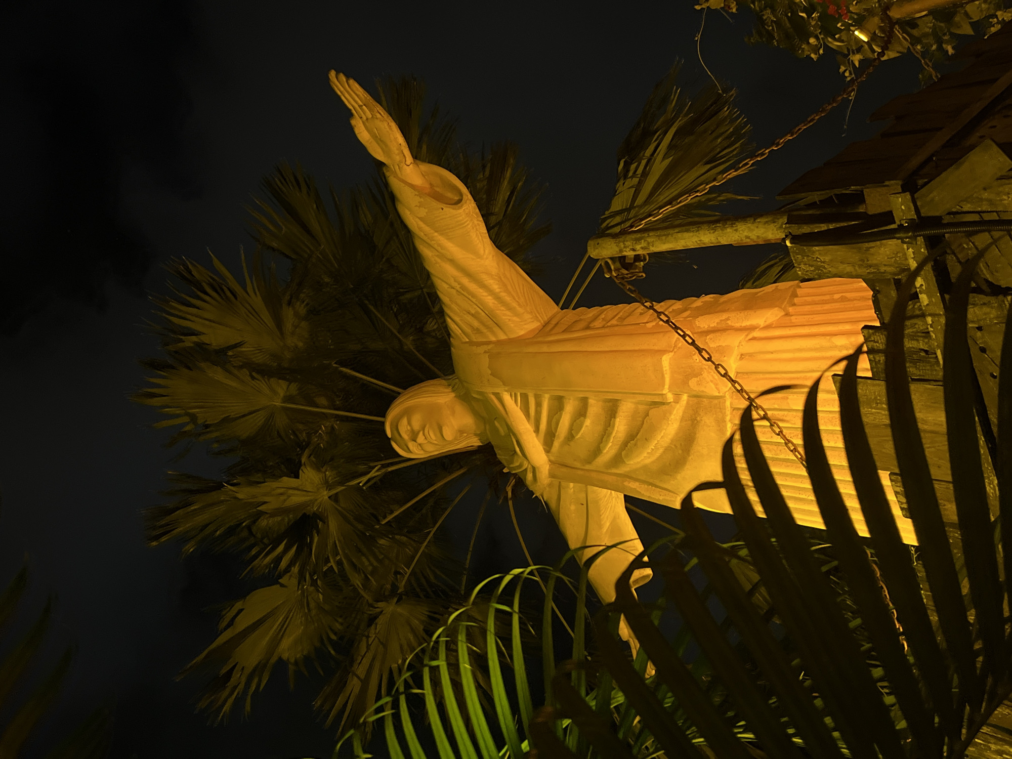 The image shows a statue of Jesus Christ illuminated by warm, yellow lighting at night. The statue is positioned centrally, with its arms outstretched. Large, dark green palm fronds are in the foreground, partially obscuring the statue and creating a contrast with the illuminated figure. Behind the statue, more palm fronds are visible, silhouetted against the dark night sky. The statue appears to be made of a stone-like material and is draped in a flowing robe. A wooden fence and chains are also visible in the lower portion of the image. The overall impression is one of a dramatic and somewhat mysterious scene, likely in a tropical or subtropical location, given the presence of palm trees.