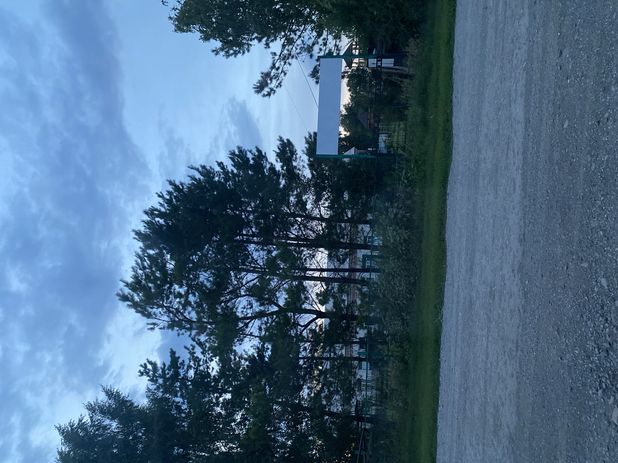 The image depicts a dirt road in the rural settlement of Anton'evka, Russia, at dusk. Tall pine trees line the background, with a fence and a building visible behind them. A large, blank white sign stands prominently in the center of the frame, framed by trees. The sky is overcast with dark, moody clouds. The overall scene is somber and still, suggesting a quiet, undeveloped area. There are no people or animals present in the image.