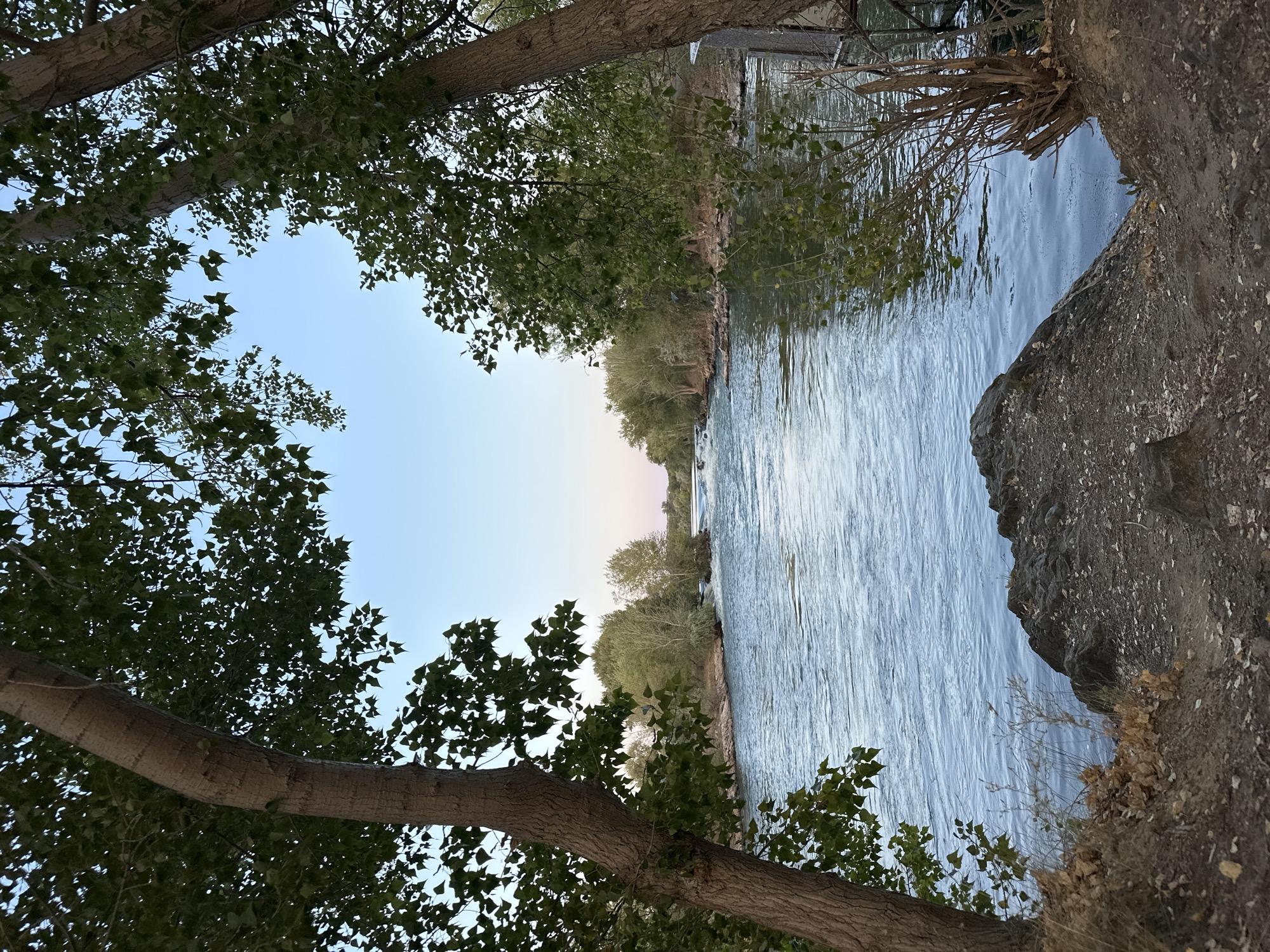 The image depicts a serene river flowing through a natural landscape, framed by the trunks and foliage of large trees on either side. The water is a calm blue, reflecting the clear sky above, which transitions from a pale blue at the top to a soft pinkish hue near the horizon. The riverbanks are lined with lush green trees and vegetation. In the distance, the river narrows and appears to have some gentle rapids or a slightly turbulent section. The foreground shows a rocky embankment covered with dry leaves and dirt. There are no people or animals visible in the scene, and no specific man-made structures are prominent. The lighting suggests it is either early morning or late evening. The location is identified as the city of Energetik, Russia, specifically along the river.