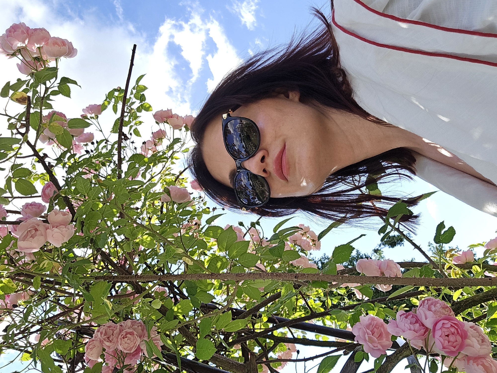This is a low-angle, outdoor, selfie-style shot of a woman taken in Kaunas, Lithuania. She is looking up towards the camera, wearing dark sunglasses and a white garment with red trim. Her dark hair is windblown. Behind her, a climbing rose bush with numerous pale pink roses and green leaves is prominent. The sky is bright blue with scattered white clouds, indicating it is daytime and likely fair weather. The composition places the viewer at ground level, looking up through the branches of the rose bush at the woman and the sky. The scene suggests a relaxed and possibly cheerful moment, given the bright lighting and blooming flowers. There is no visible text in the image.