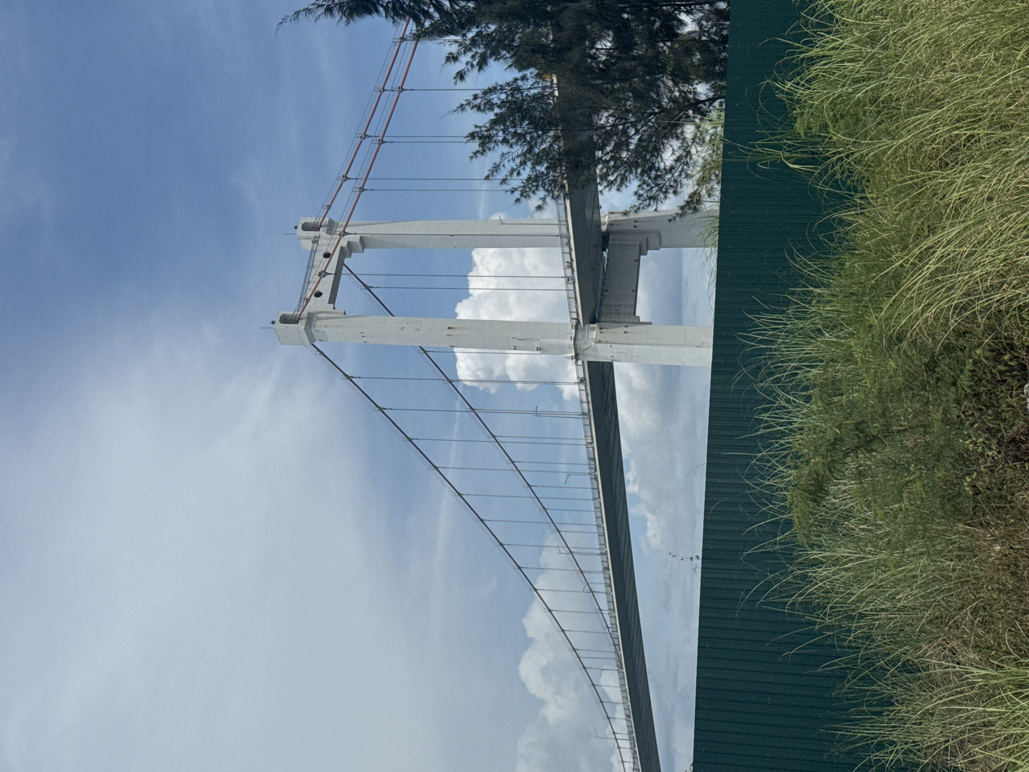 The image depicts a suspension bridge in Đà Nẵng, Vietnam, likely the Thuận Phước Bridge. The bridge has white towers and a light-colored deck, with steel suspension cables. The sky is blue with scattered clouds. To the right, there is tall green grass and part of a green fence or wall. A tree is situated near one of the bridge towers. No people or other structures are clearly visible.