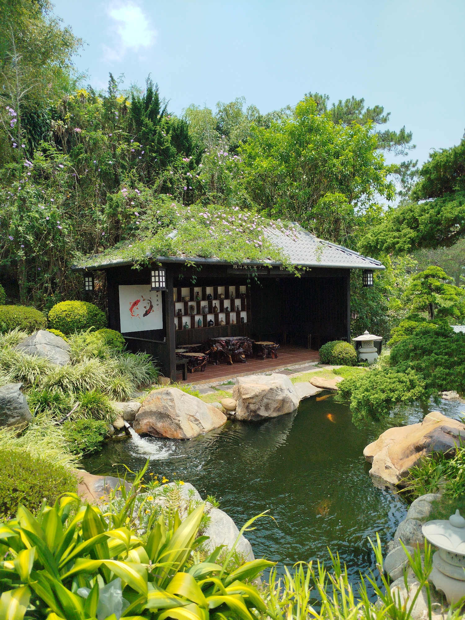 The image depicts a meticulously landscaped Japanese-style garden scene in Cam Ly, Đà Lạt, Vietnam. At the center is a dark wooden pavilion with a tiled roof partially covered in flowering vines. Inside, a rustic table and stools suggest a tea-drinking area. A painted banner with koi fish hangs on one side, and shelves displaying ceramic vases line the back wall. A stone lantern stands near the edge of the pavilion. A pond with dark water and large rocks borders the pavilion. Green foliage surrounds the pond, and a small waterfall empties into it. The sky is pale blue with scattered clouds.
