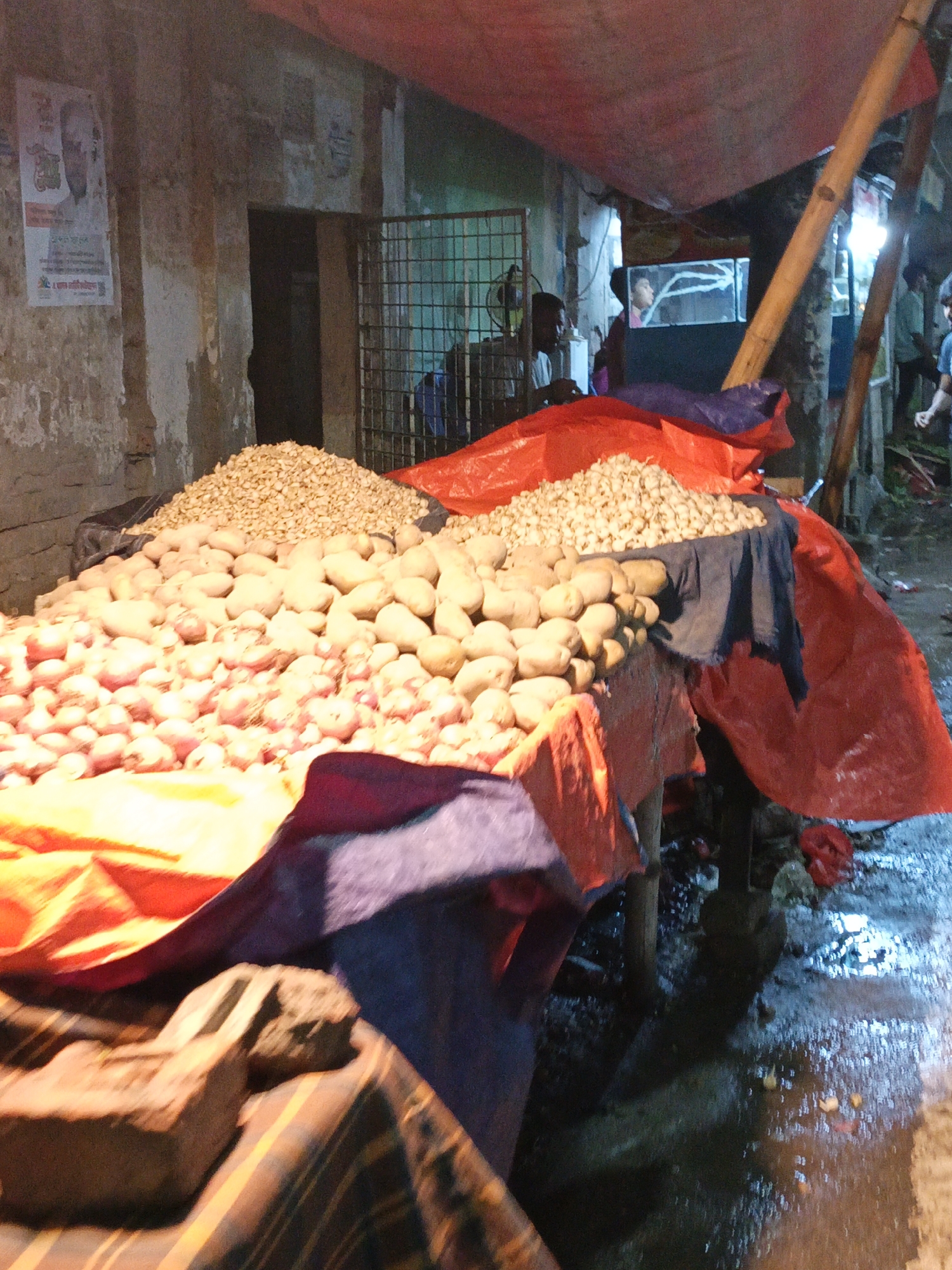 Here is a detailed description of the image:
**Scene:** An outdoor market stall, possibly in an urban area, features a large display of produce.
**Objects:**
- Three distinct piles of produce: what appear to be onions, potatoes, and garlic.
- A table or platform supporting the produce, covered with a combination of yellow, red, and blue tarps or cloths.
- Bricks are placed on the corner of the table.
- A building with a doorway and metal bars.
- Support structures of bamboo poles and cloths for the canopy overhead.
- Wet or damp ground, possibly due to recent rain or cleaning.
**People:**
- Individuals are visible in the background, possibly customers or other vendors.
- A woman is visible behind a glass window.
- There appears to be a poster on the building wall.
**Environment:**
- The setting is urban, potentially a street market or outdoor vendor area.
- Lighting is a mix of natural and artificial light sources.
- Wet conditions suggest a recent rain or street cleaning.