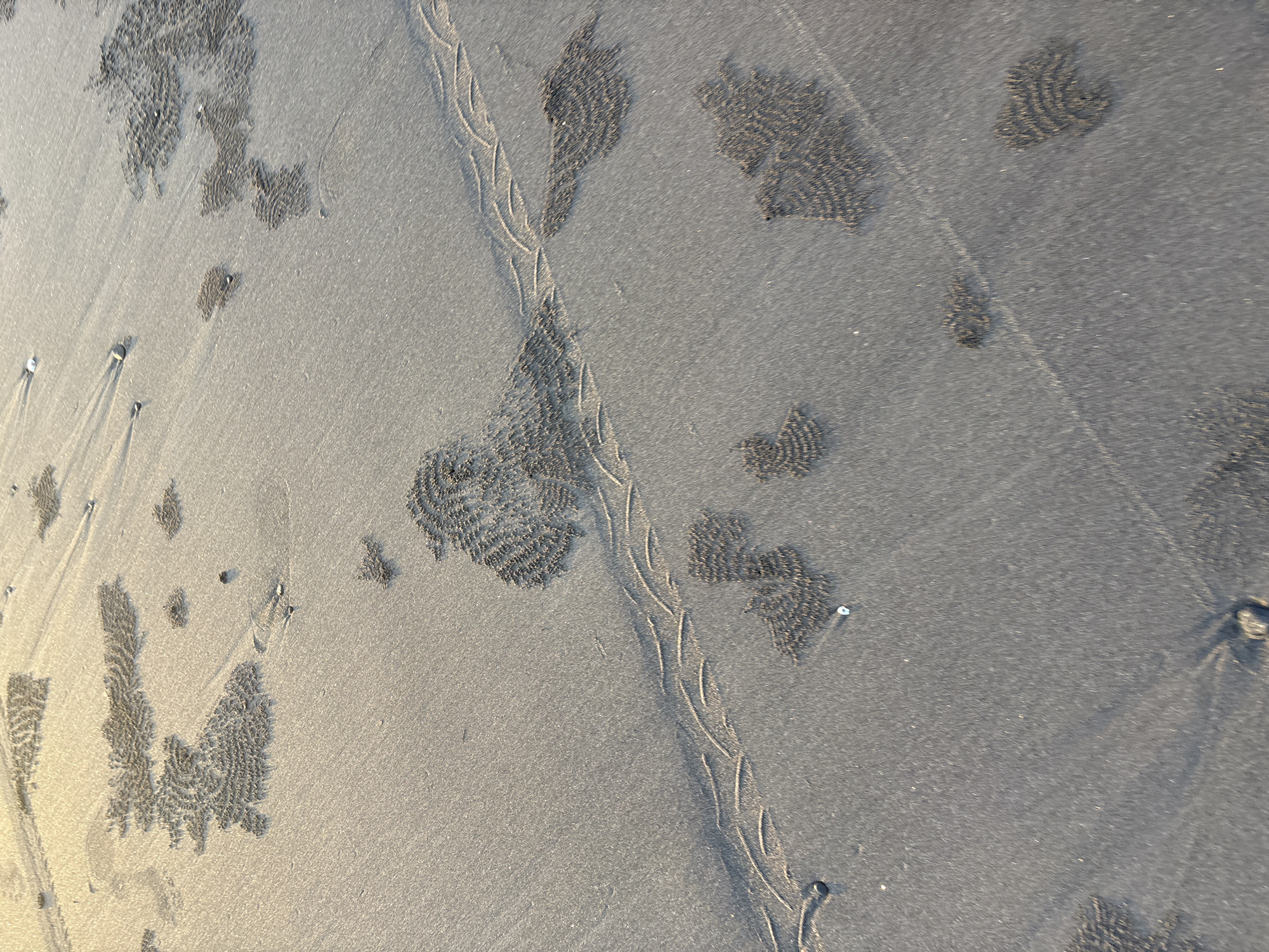 The image shows a close-up of a beach in Kerambitan, Indonesia. The sand is dark gray and wet. Small, rounded pellets of sand are scattered across the surface in concentrated clusters. There are also tracks, likely from small invertebrates, meandering across the sand. Some small stones and shells are also visible. The overall lighting suggests early morning or late afternoon.