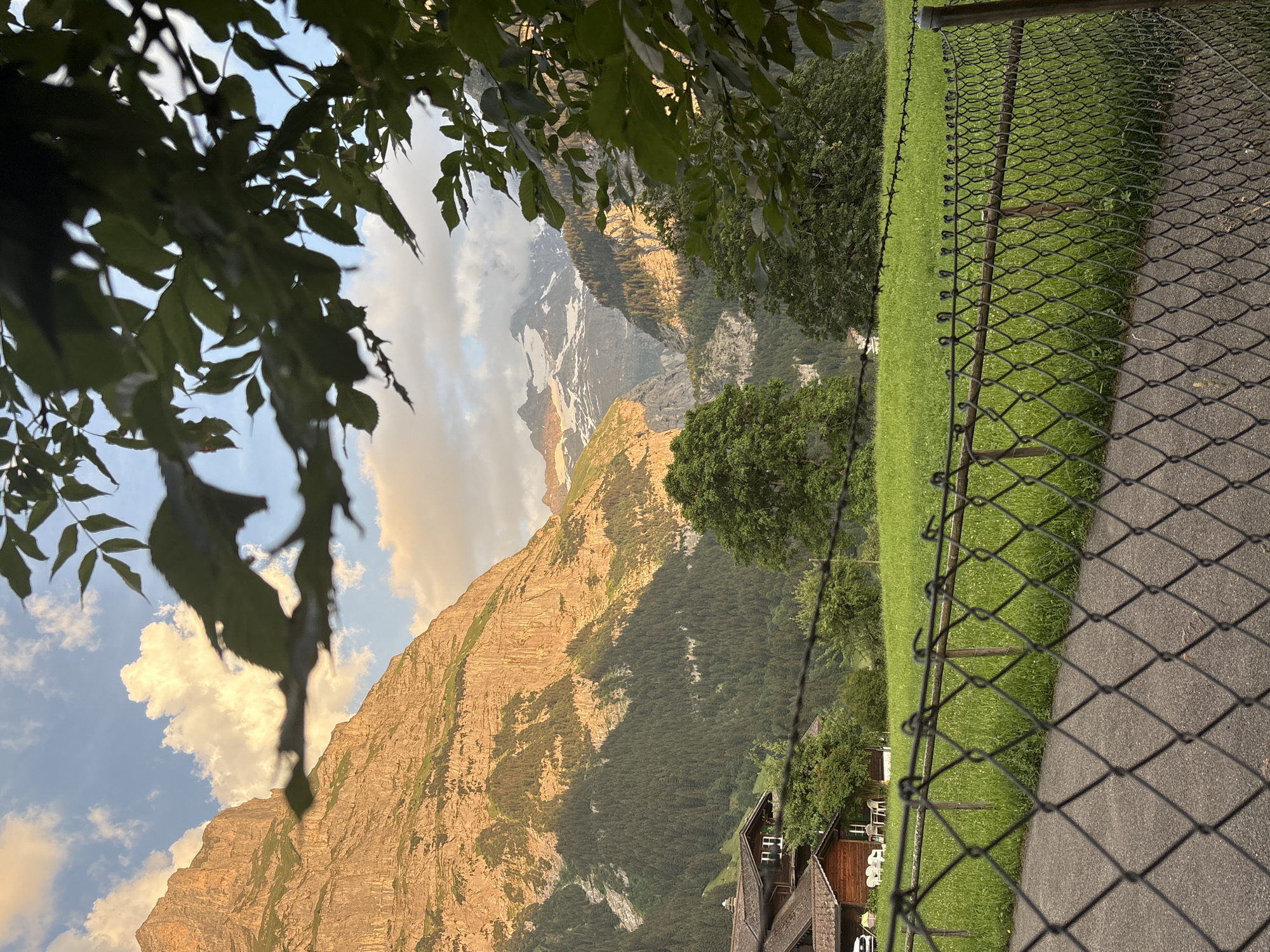 This is a vertical, low-angle photograph of a mountainous landscape in Grindelwald, Switzerland. In the foreground, a black chain-link fence runs diagonally across the frame. To the left of the fence, a vibrant green lawn slopes gently downwards, dotted with a few wooden posts and what appear to be white chairs in the distance. To the right of the fence is a dark asphalt path.
Beyond the fence and lawn, a majestic mountain dominates the background. Its rugged, sun-drenched face displays stark vertical striations, with patches of snow visible higher up. The lower slopes are covered in a dense, dark green forest. The sky above is a mixture of soft blue and dramatic, light-colored clouds, with the warm glow of what appears to be sunset or sunrise illuminating the mountain face and clouds.
In the lower right quadrant of the image, a rustic wooden building with a dark roof is partially visible. It has windows and appears to be a small chalet or guesthouse.
Framing the top left portion of the image are dark green, leafy branches of a tree, slightly out of focus, creating a sense of looking through foliage. The overall mood is serene and picturesque, capturing the natural beauty of the Swiss Alps during a pleasant time of day, likely early morning or late afternoon given the lighting. No visible text is present in the image.