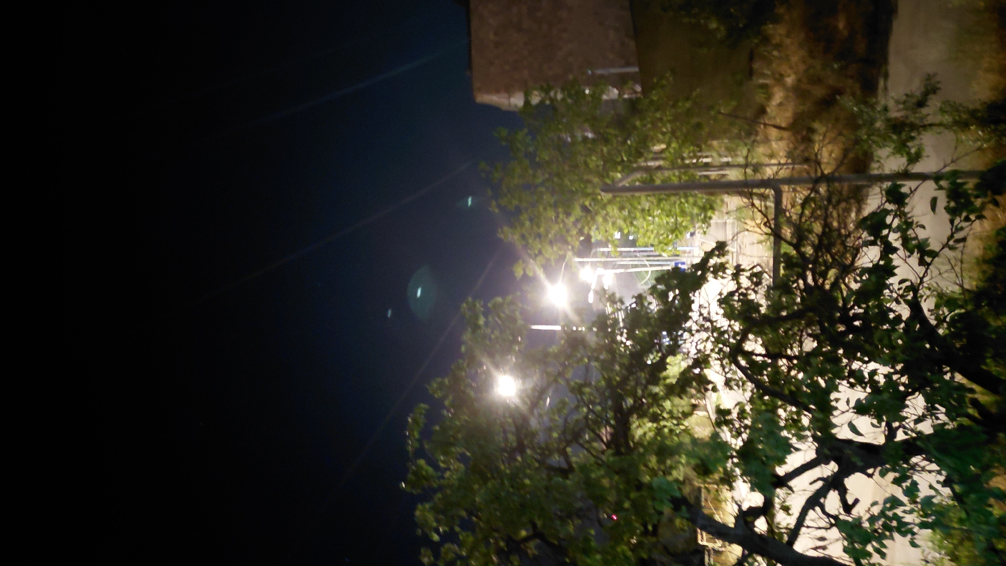 A low-angle shot captures a nighttime street scene with several trees in the foreground. Two bright streetlights illuminate the area, casting a glow on the surrounding foliage. In the background, a multi-story building with a textured facade is visible. The sky is dark, with faint streaks of light suggesting the presence of overhead wires or light pollution. The image appears to be taken in Abovyan, Armenia, based on the provided context, and depicts a common urban environment at night.