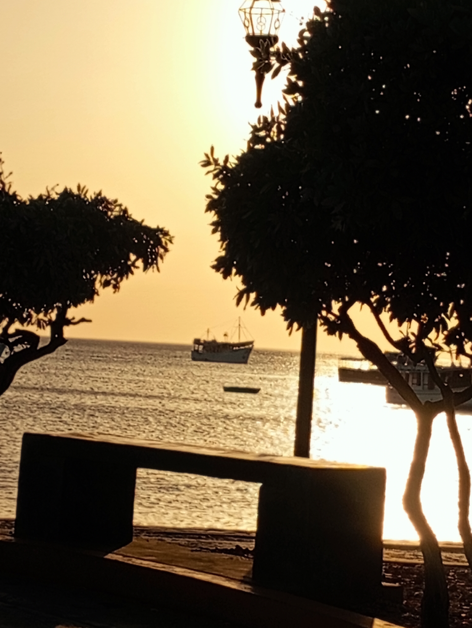 The image is a silhouette view of a scene in Juan Griego, Venezuela, at sunset. The foreground features a dark silhouette of a bench and two trees with rounded crowns, flanking a decorative lamppost. Beyond the trees, the ocean is visible, reflecting the golden light of the setting sun. A boat and a smaller vessel are visible in the distance on the water. The sky is a pale yellow-orange color. The image is underexposed, creating a strong contrast between the dark foreground elements and the bright background. The overall scene suggests a peaceful, coastal setting at dusk.