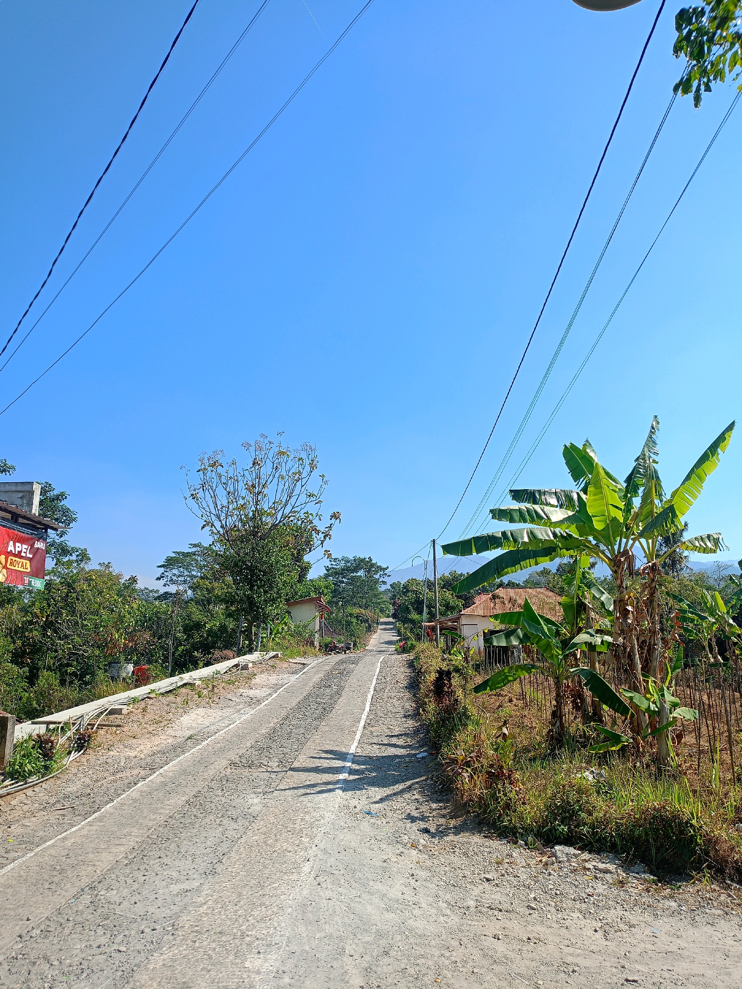 The image depicts a rural road in the city of Kembang, Indonesia. The road is paved with asphalt and shows tire marks, indicating recent vehicle traffic. To the left of the road, there is a low concrete barrier covered in greenery, beyond which lie trees and a building with a red and white sign. A tall, barren tree stands further back. To the right of the road, lush vegetation, including banana trees, thrives. In the background, houses with terracotta roofs are visible amidst more trees, and a mountain range is faintly discernible under a clear blue sky. Overhead, several power lines stretch across the frame, casting shadows on the road. The scene is illuminated by bright sunlight, suggesting it is daytime.