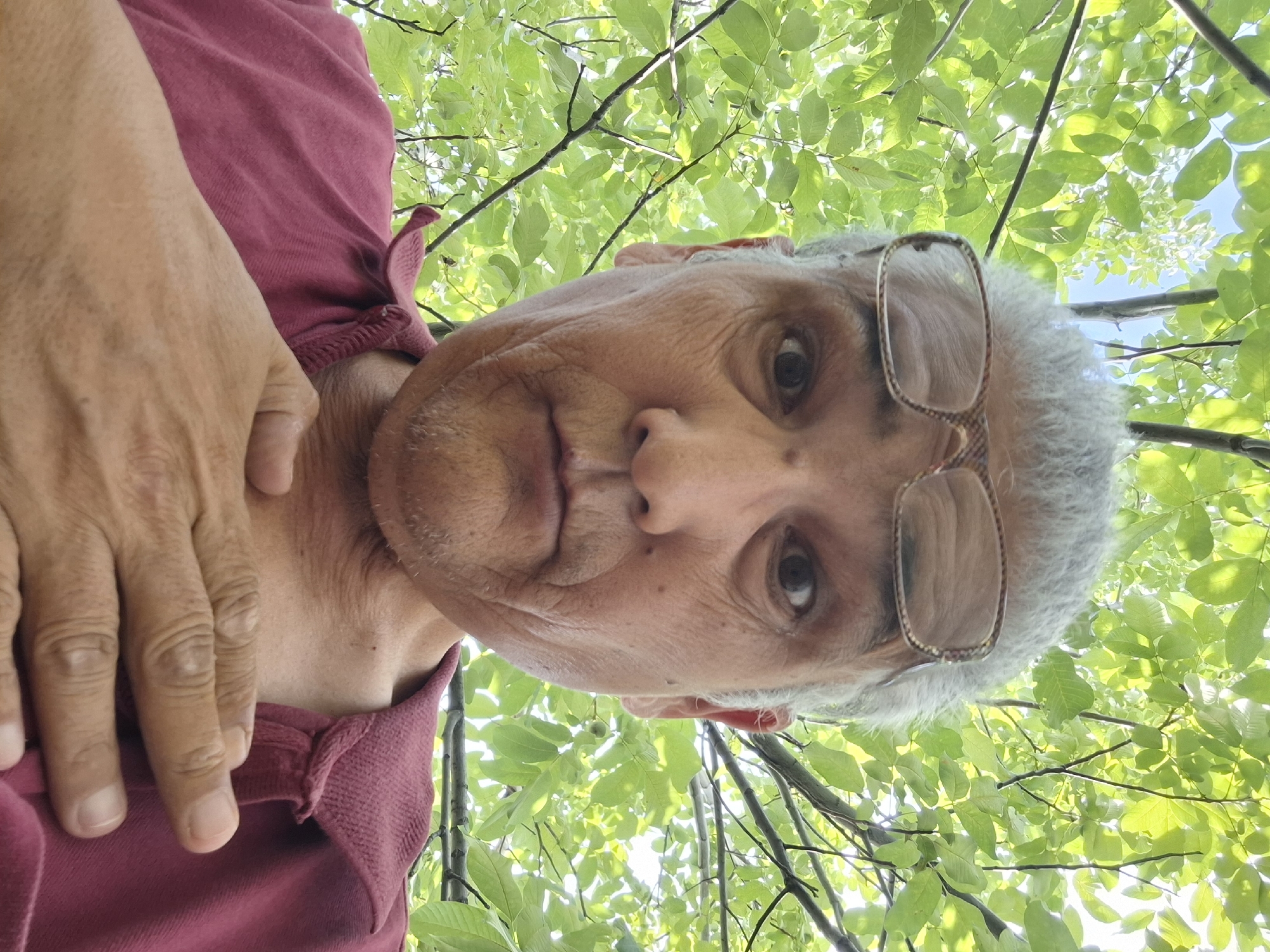 An elderly man with gray hair and glasses rests his hand on his chest while looking up at the camera. He is wearing a maroon collared shirt. Lush green leaves and branches of a tree are visible behind him, with sunlight filtering through. The photo was taken outdoors. There is no indication of the specific location in Almaty, Kazakhstan.