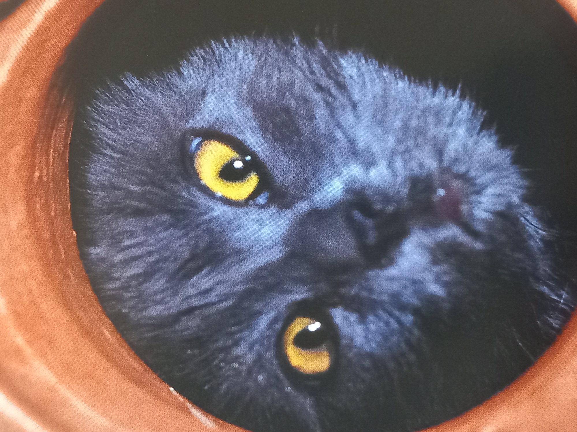 The image is a close-up, head-on shot of a cat's face. The cat has dark gray fur and striking yellow eyes with dark pupils. The cat appears to be looking directly at the camera. The cat's face is framed by an orange, circular border, which suggests it might be peeking out from an opening, possibly a terracotta pot or similar object. The lighting is somewhat dramatic, with highlights on the cat's fur and eyes. The background behind the cat is dark and out of focus. There is no indication of location in a city.