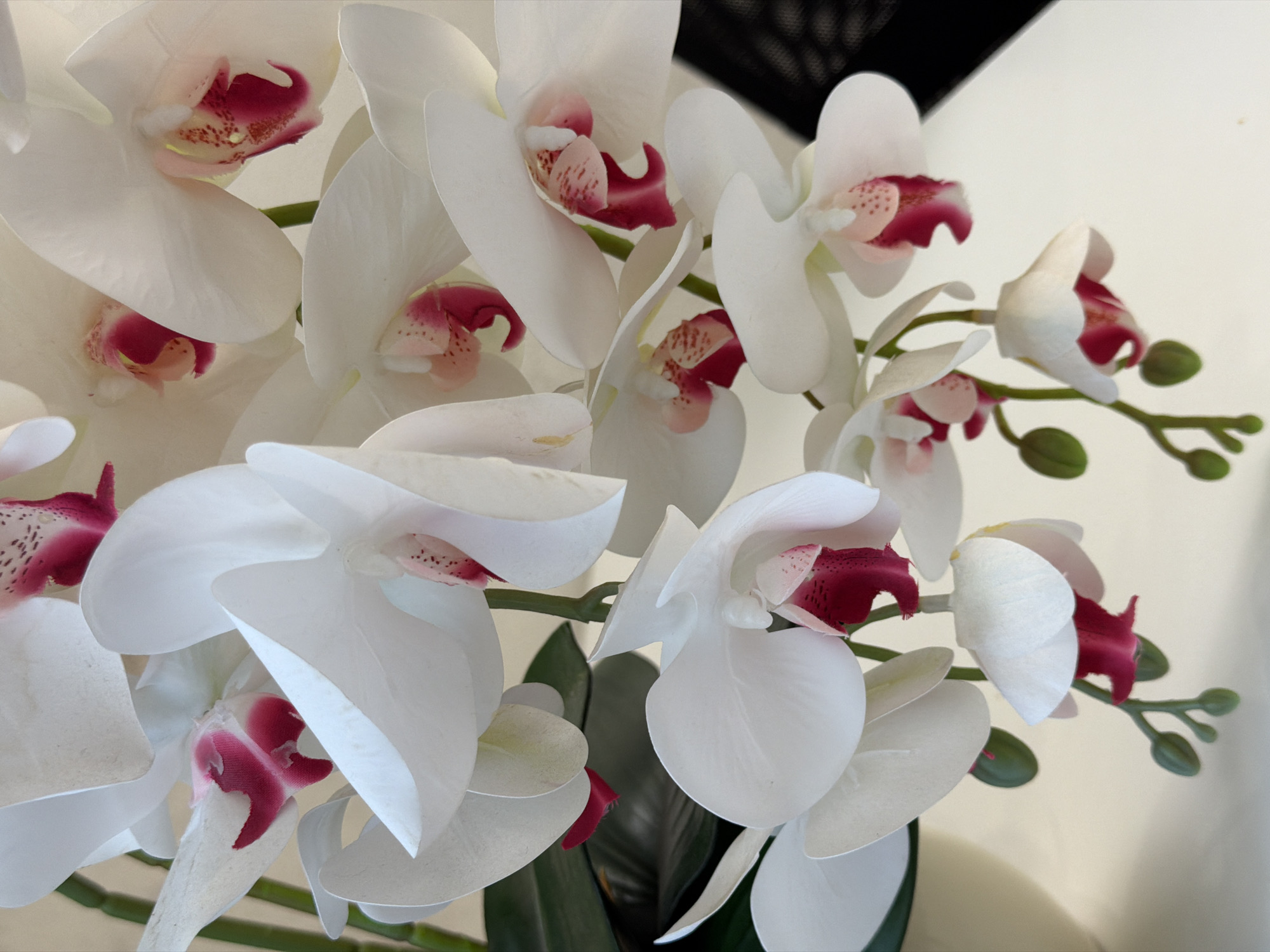 A close-up, overhead shot displays a cluster of white orchid flowers with vibrant pink centers. The orchids are artificial and are arranged on a light-colored surface, likely a table, with a blurred background. The lighting is soft, highlighting the delicate texture of the petals and the rich color of the centers. Some green leaves are visible in the lower left corner. The image appears to be taken indoors, possibly in a home or a commercial setting. No people are present.