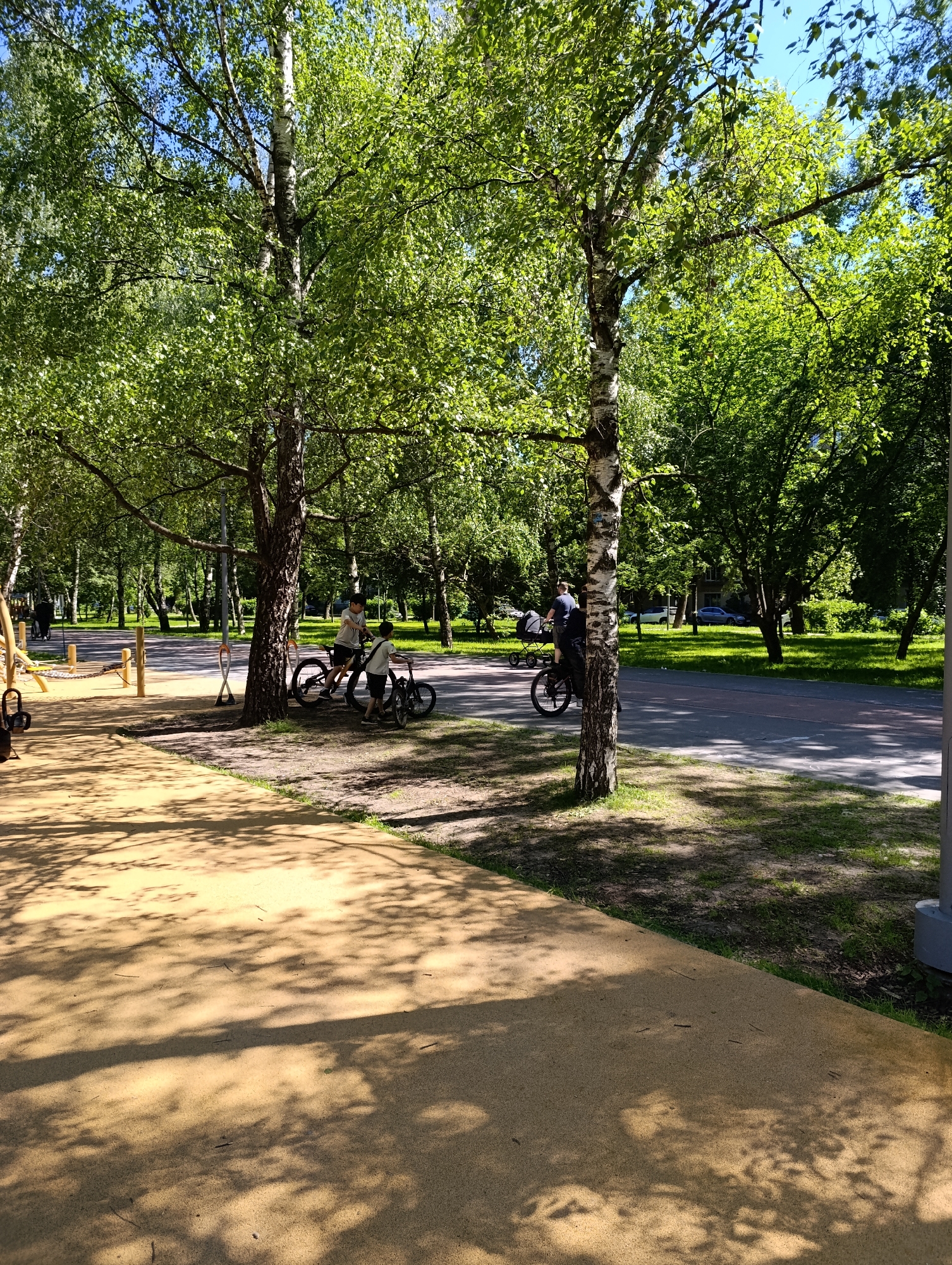 This image depicts a sunny outdoor scene in a park or green area in Moscow, Russia, during what appears to be spring or summer. In the foreground, a tan-colored, textured pathway, possibly rubberized, is illuminated by sunlight, displaying numerous distinct shadows of tree leaves and branches. To the far left, a portion of a wooden playground structure with ropes and vertical posts is visible.
In the midground, two prominent birch trees with green foliage and characteristic light-colored bark stand between the foreground path and a paved road. Beneath the leftmost birch tree, two children are stationary with their bicycles. The child on the left, wearing a white t-shirt and dark shorts, stands next to a larger black bicycle. The child on the right, similarly dressed, is positioned with a smaller, black BMX-style bicycle.
Further to the right in the midground, a dark paved road or dedicated bicycle path, marked with a reddish stripe, runs horizontally. A person wearing a dark top is seen cycling from left to right on this path, simultaneously pushing a baby stroller. A light-colored pole is partially visible on the far right edge of the frame.
The background is dominated by a dense canopy of various deciduous trees with lush green leaves, suggesting a vibrant natural environment. Through the trees in the central-right background, a multi-story building and two parked cars (one light-colored, one darker) are faintly visible. Patches of clear blue sky are discernible through the tree canopy at the top of the image. The scene is brightly lit by direct sunlight, casting sharp shadows across the paths and ground.