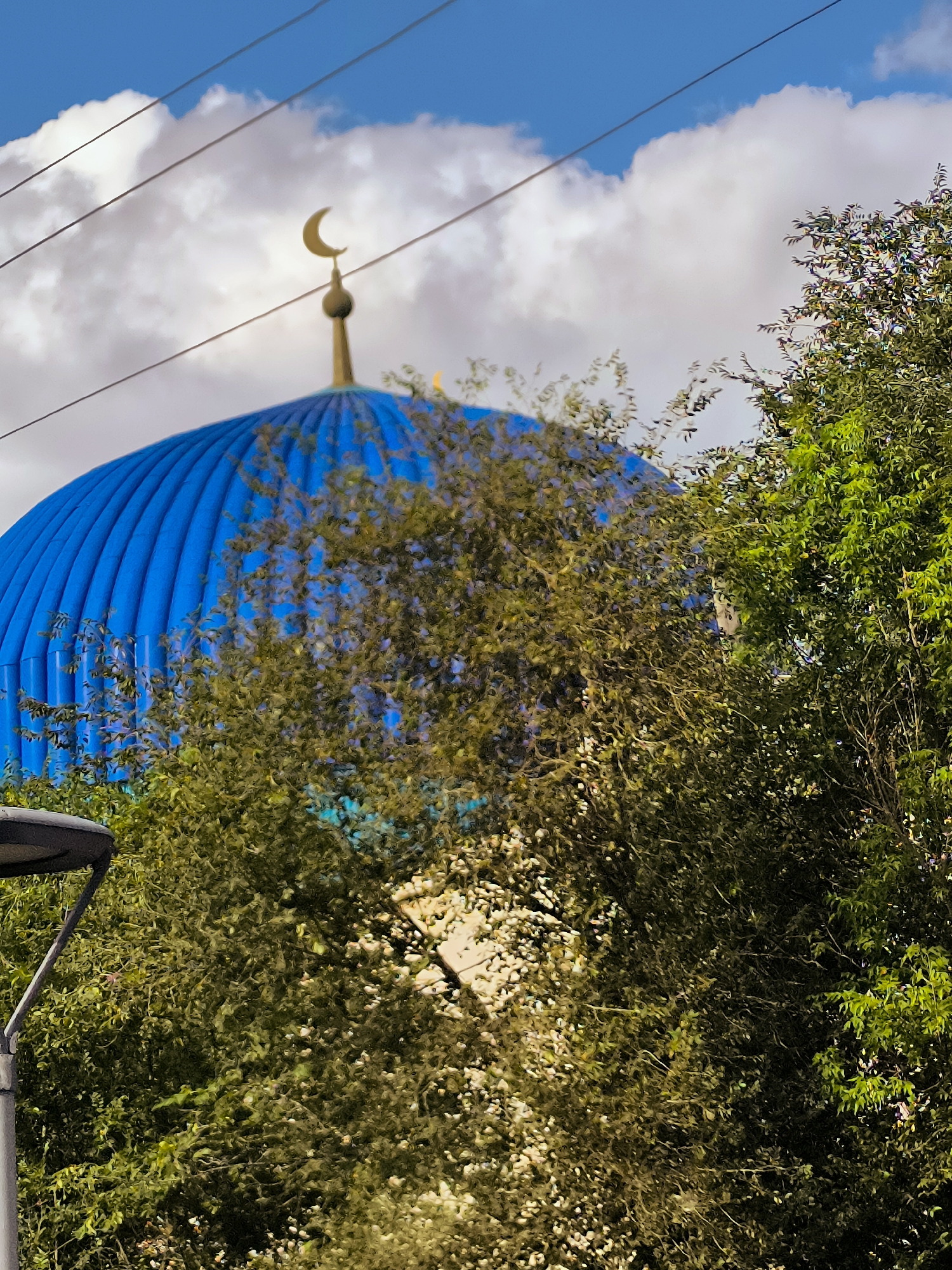 A blue domed building with a crescent moon on top is partially obscured by green foliage and trees. The sky above is blue with white clouds. Power lines are visible crossing the sky. The lower left corner of the image shows a lamppost. The building appears to be a mosque, and the scene is likely outdoors. The provided context mentions Qarağandı city administration, Kazakhstan, suggesting this is a location within that city.