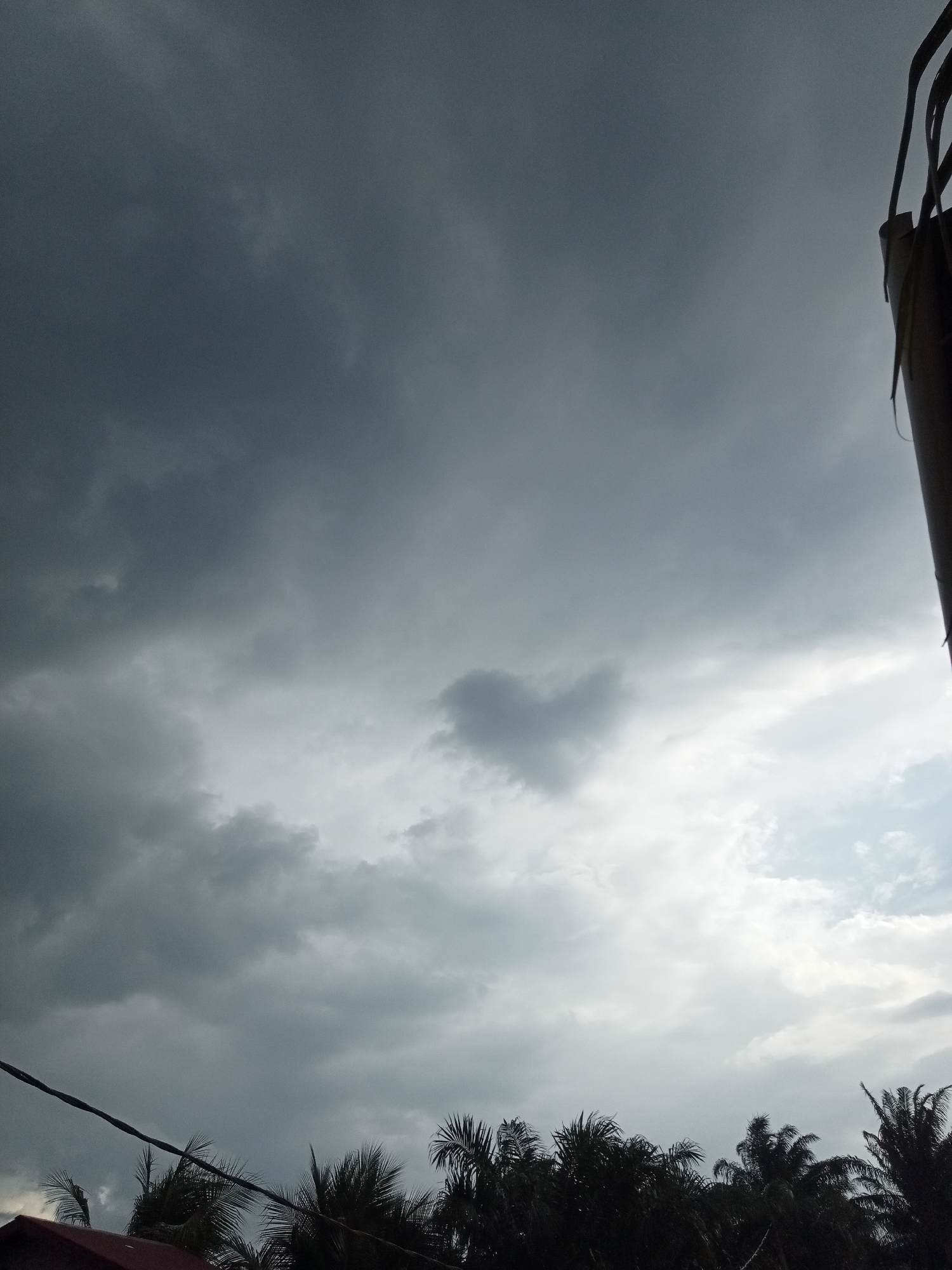 The image captures a cloudy sky over a densely vegetated area, likely a town or village, in Melayu Besar Kota, Indonesia. The sky is dominated by dark, heavy clouds, suggesting an impending storm or overcast weather. Towards the lower part of the image, the silhouettes of palm trees and other tropical foliage are visible, indicating a lush environment. A dark wire or cable stretches across the lower left portion of the frame, adding a man-made element to the natural scene. On the far right, a portion of a dark structure, possibly a building or utility pole, is visible. The overall impression is one of a humid, tropical atmosphere under a dramatic sky.