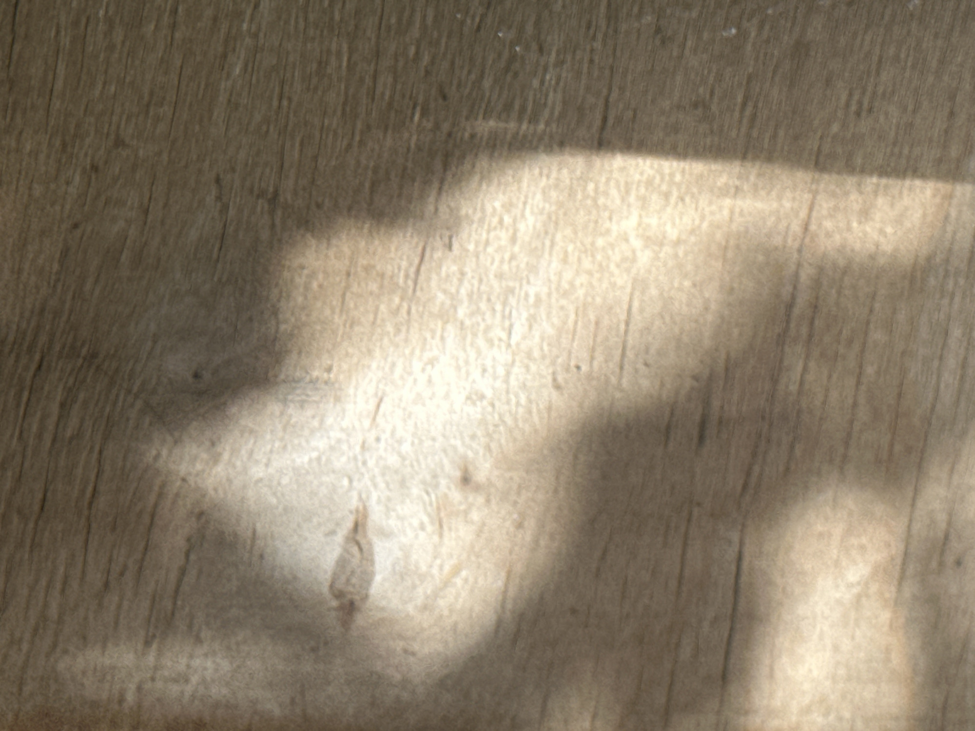 The image displays a close-up view of a weathered wooden surface, possibly a table or floor, with prominent grain patterns and subtle variations in color. A soft shadow falls across the surface, creating a contrast between the illuminated and shaded areas. The texture of the wood is rough and aged, with visible lines and small imperfections. The lighting suggests an indoor environment, but no specific location in Luhansk, Ukraine, can be determined from the image alone. There are no people or objects identifiable in the scene.