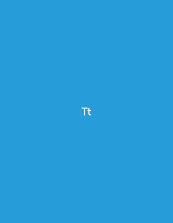 This image, originating from the city of Pokrovnik, Bulgaria, displays a solid blue field. Centrally positioned within this field are two white characters: an uppercase 'T' followed by a lowercase 't'. The characters are rendered in a clear, sans-serif typeface. No other elements, such as individuals, objects, specific environmental features, or any actions or interactions, are present in the visual composition. The scene consists solely of the blue background and the white text 'Tt'.
