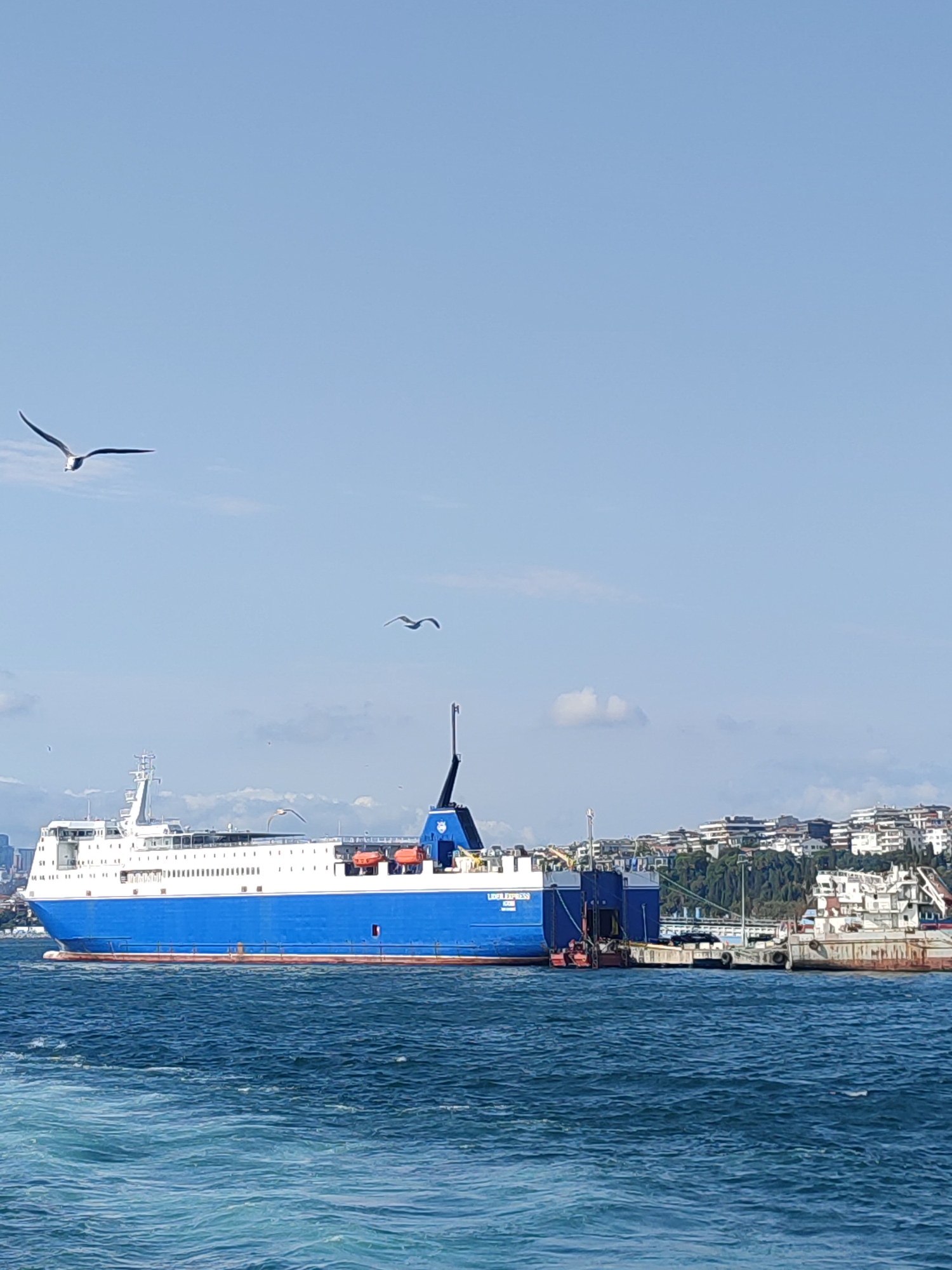 The image shows a large blue and white ferry docked in the water, likely in or near Üsküdar, Turkey, given the characteristic cityscape visible on the hill in the background. Two seagulls are flying in the clear blue sky. The ferry, named "LINEA EXPRESS," has several life rafts visible on its side. The water is choppy, with a visible wake at the bottom of the frame. Buildings and trees are densely populated on the hillside, suggesting an urban environment. Another, older-looking ship is docked next to the ferry.