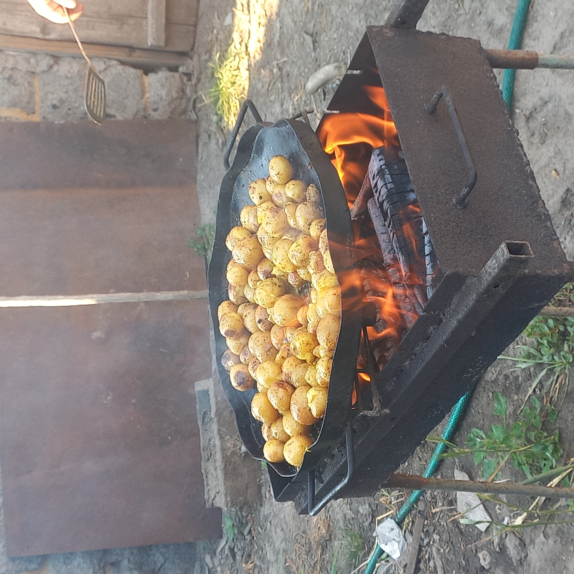 In the city of Klyntsi, Ukraine, a wide, black, round metal skillet, filled with numerous small, browned potatoes, is suspended over an open fire. The potatoes appear to be seasoned with spices. Below the skillet, a rustic, dark-colored metal grill box contains burning wood, with flames licking upwards towards the skillet. The grill box is supported by metal legs. To the right of the grill, a hand holds a metal spatula, suggesting someone is actively cooking or tending to the potatoes. The background depicts an outdoor, possibly rural or backyard setting, with a weathered stone wall and a rough, textured surface on the ground. Green vegetation is visible around the base of the grill, and a portion of a green hose lies on the ground. The overall scene captures a moment of outdoor cooking.
