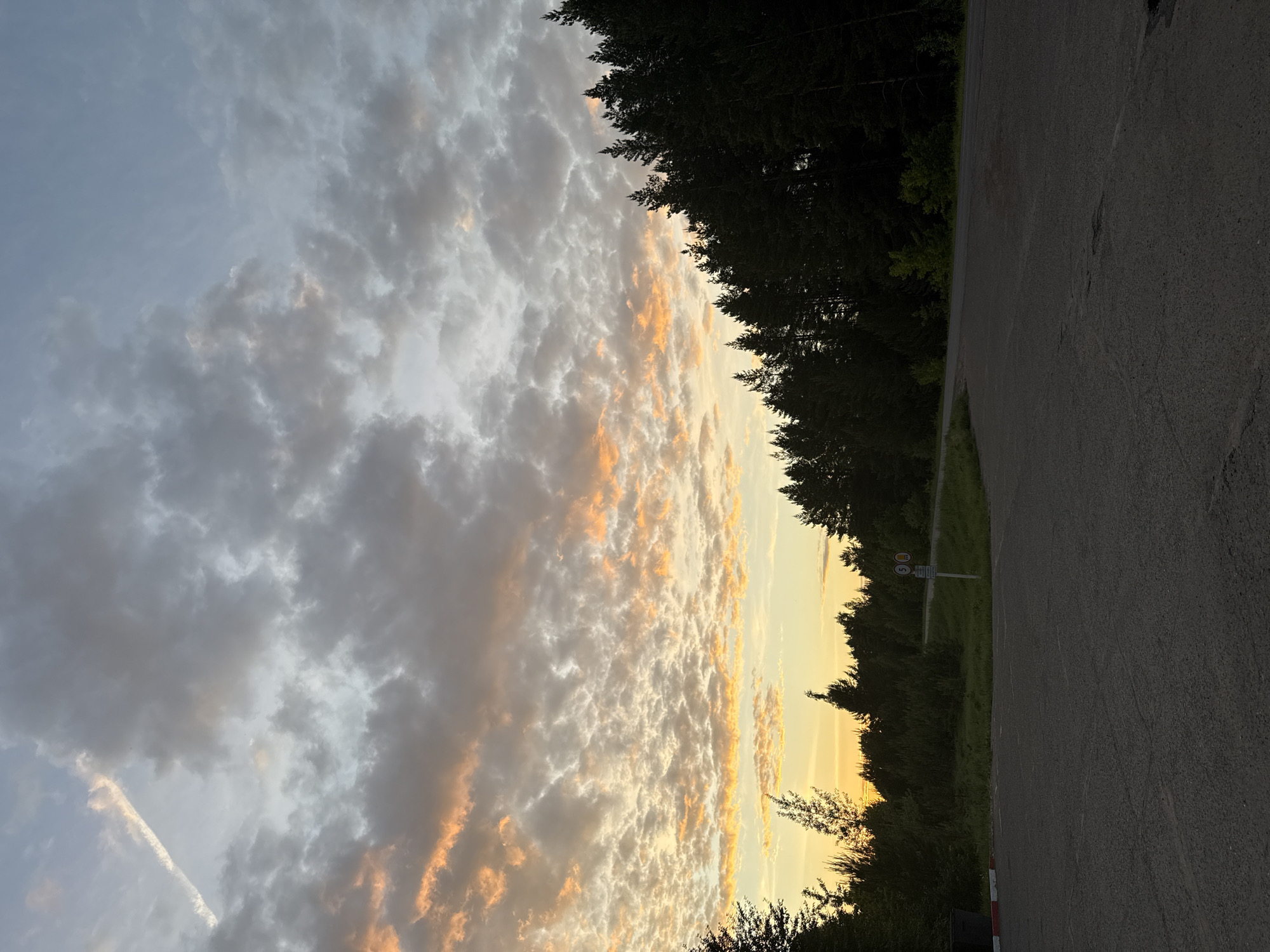 This image captures an expansive outdoor scene at either sunrise or sunset in Камское, Russia. The sky dominates the upper portion, showcasing a dramatic cloud formation. On the left, clouds are primarily grey and white against a light blue sky, with a prominent, straight contrail or linear cloud formation cutting across. Towards the right, the clouds are brightly illuminated in warm hues of orange, yellow, and soft pink by the low sun, creating a vivid glow.
A dense line of dark, coniferous trees forms a silhouette along the horizon, separating the sky from the foreground. The trees appear particularly dark against the most vibrant part of the sky on the right. Below the treeline, an asphalt road stretches into the distance, occupying the lower half of the frame. The road surface shows signs of wear.
Notable details include a small signpost located on the right side of the road. Visible on the signpost is a circular white sign with a black number "5" inside, crossed by a red diagonal line, likely indicating a speed limit or a prohibition. Below this, some smaller, illegible text is present. A red and white striped barrier or curb can be faintly seen at the very bottom right edge of the image. The scene is devoid of any human or animal activity, conveying a tranquil and serene atmosphere, accentuated by the warm, natural light.