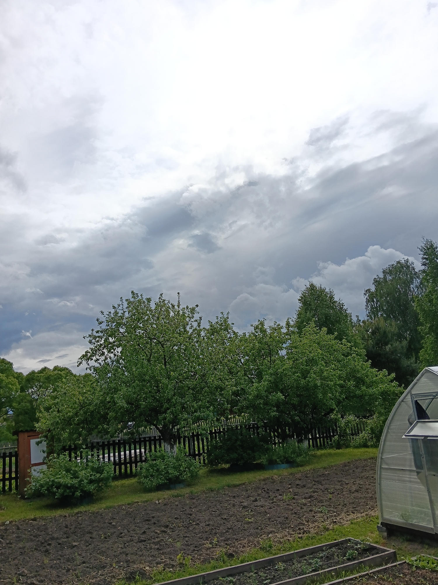 The image depicts a garden scene in Красный Маяк, Russia, under a cloudy sky. In the foreground, there are prepared garden beds with soil and some greenery. A partially visible greenhouse is on the right. A wooden fence runs across the midground, behind which are various trees and shrubs. A small wooden shed is visible behind the fence on the left. The sky is overcast with grey and white clouds.