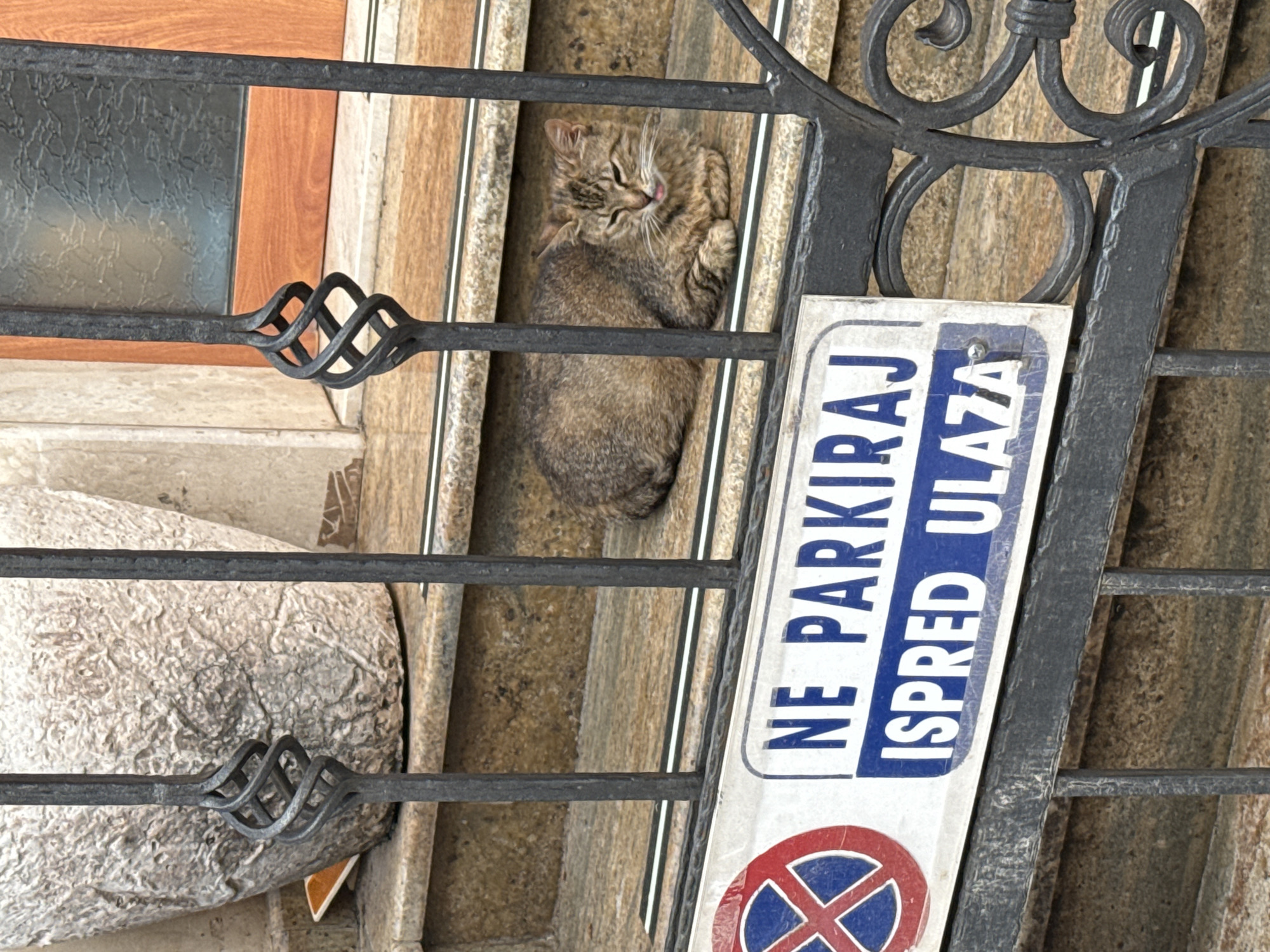 A tabby cat lies on the stone steps in front of a building, behind a black metal fence. The cat is facing right and appears to be sleeping or resting with its eyes partially closed. A sign with the text "NE PARKIRAJ ISPRED ULAZA" is attached to the fence, which translates to "DO NOT PARK IN FRONT OF THE ENTRANCE." The steps are made of speckled stone, and a large, rough-textured planter is visible to the left of the steps. The building features wooden doors and windows.