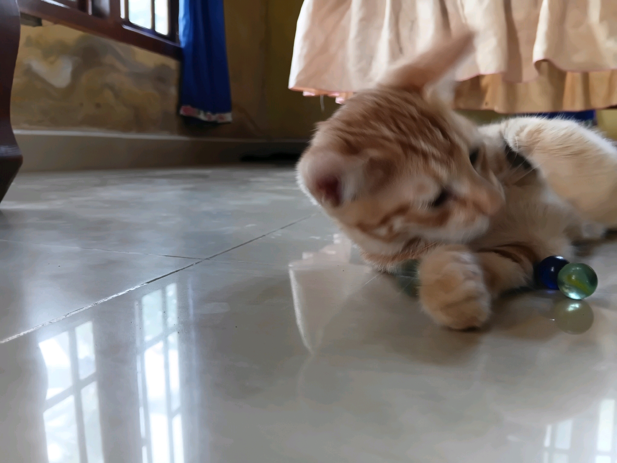 The image depicts a ginger cat lying on a tiled floor in what appears to be a residential setting. The cat is partially obscured and in motion, with its head turned to the right. In the foreground, to the right of the cat, are two marbles, one blue and one green and yellow, resting on the floor. The background shows a wall with a marbling pattern, and a portion of a wooden structure with vertical slats, possibly a window frame. A blue curtain with a patterned hem is visible to the left of the frame. A light-colored, draped fabric, likely clothing, is present in the upper right portion of the image. The floor is reflective, indicating a polished surface, and the lighting suggests it is daytime. The scene is indoors, as suggested by the presence of furniture-like elements and the enclosed space. There is no indication of the city of Gilirang, Indonesia, in the image.