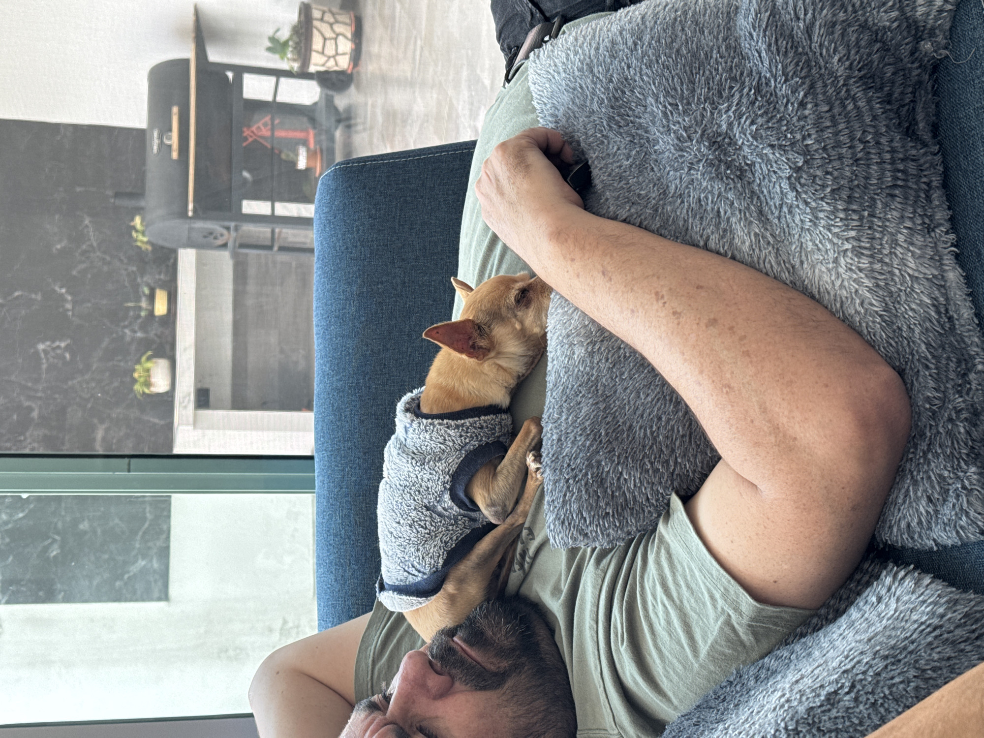 A person is lying on a blue sofa with a light gray, fluffy blanket, and a tan Chihuahua dog wearing a gray and blue sweater is nestled on the person's chest. The person is wearing a light green t-shirt and appears to be sleeping or resting with their eyes closed. Part of their face, including their beard, nose, and closed eyes, is visible. The dog is curled up and resting its head against the person. The location seems to be indoors, near a large window, with a glimpse of a black barbecue grill and plants on the patio visible through the window. The scene is observed during the daytime, with bright sunlight streaming in. There is no immediate evidence of it being San Bernardino Tlaxcalancingo, Mexico.