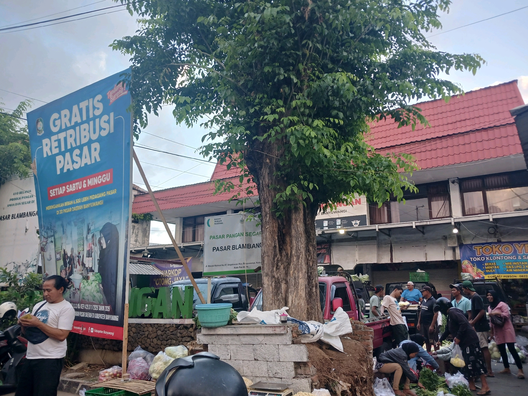 The image depicts a street market scene in Banyuwangi, Indonesia, likely in the vicinity of Pasar Blambangan. A large blue banner advertising "GRATIS RETRIBUSI PASAR" (Free Market Levy) is prominently displayed, indicating a promotional event for the market, valid every Saturday and Sunday. Several people are engaged in activities related to the market. A man wearing a white t-shirt and fanny pack is standing near the banner, looking at his phone. In the background, a cluster of market stalls and buildings with red tiled roofs are visible. A large tree with lush green foliage stands in the center of the frame, partially obscuring the buildings. Several vehicles, including a red pickup truck and a dark SUV, are parked in the area. Bags of produce and baskets are scattered around, suggesting active trade. Other individuals are seen interacting, some appear to be vendors and others customers, in what looks like a bustling market environment. The overall impression is of a lively community market on what might be a weekend.