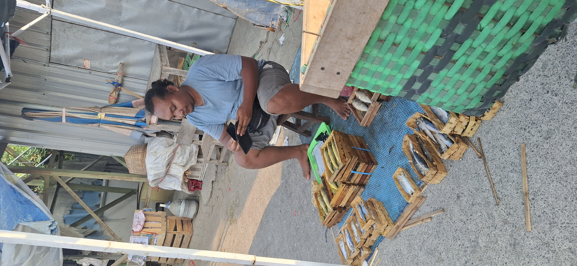 In Desa Ngesrep, Indonesia, a man with dark, tied-back hair and a blue t-shirt sits on a wooden stool. He is wearing grey shorts and is holding a black wallet. In front of him, on a blue mat spread across the asphalt ground, are several small wooden crates filled with fish. To his right, a large, green woven basket is partially visible. Behind him, a temporary structure is erected with a metal roof and wooden supports, with various items such as more wooden crates, a large woven basket, and a folded blue and white tarp visible. The ground is paved with asphalt.