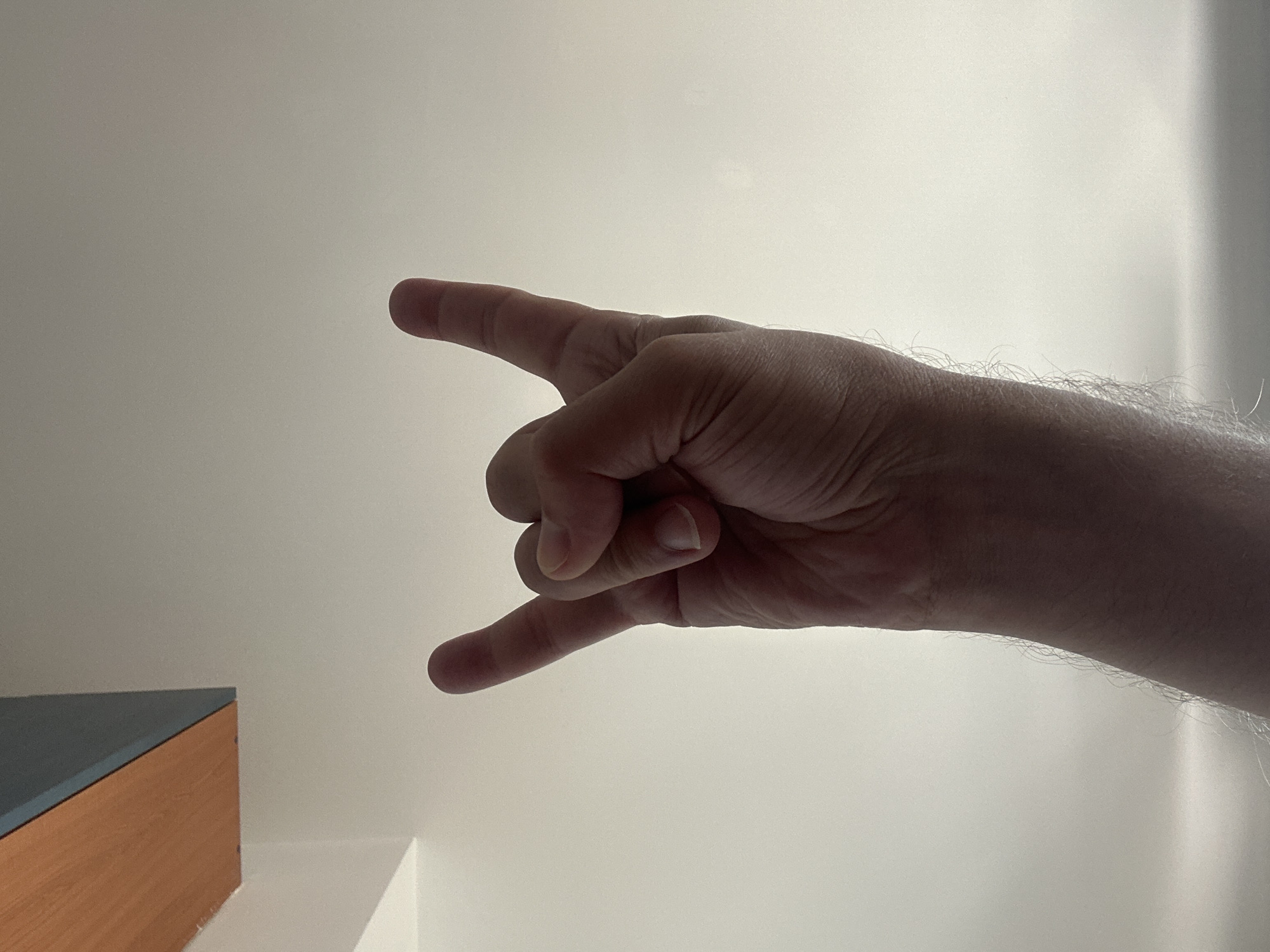 A close-up, low-angle shot shows a person's right hand forming the "rock on" or "horns" gesture. The index finger and pinky finger are extended upwards, while the thumb, middle finger, and ring finger are curled downwards. The hand appears to be reaching upwards towards a white ceiling, which is partially obscured by a light fixture composed of wood and a dark blue edge at the top left of the frame. The image is likely taken indoors, possibly in an apartment or house in the Zvezdara Urban Municipality, Serbia, where such gestures are common expressions of enthusiasm or support.