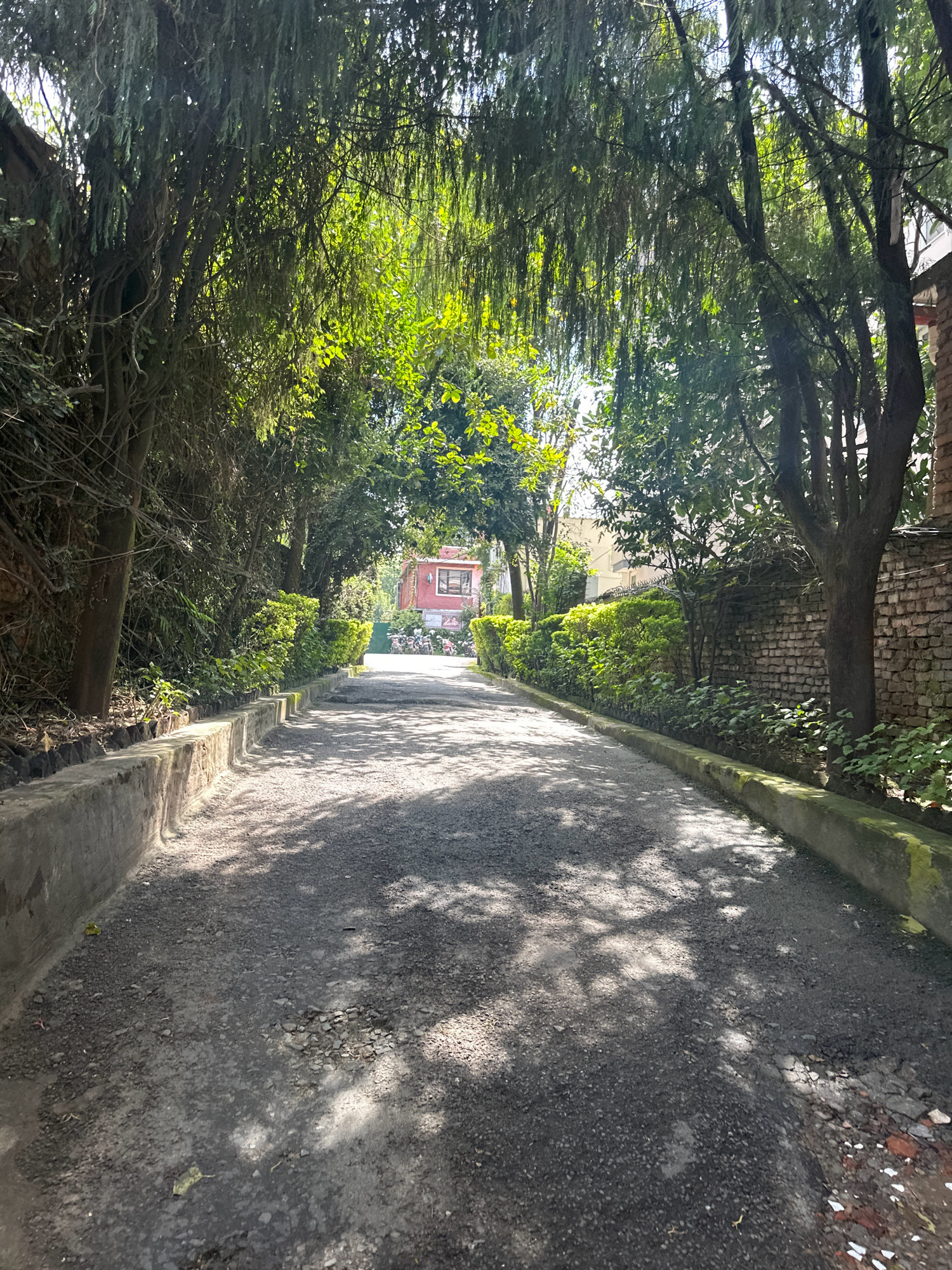 The image shows a paved pathway leading towards a building in Lalitpur, Nepal. The pathway is bordered by a concrete curb and lush green trees and bushes. Sunlight filters through the leaves of the trees, casting dappled shadows on the path. In the distance, a two-story building with red walls and white trim is visible, along with several motorcycles parked in front of it. The scene appears to be a quiet, residential or institutional area with well-maintained landscaping.
