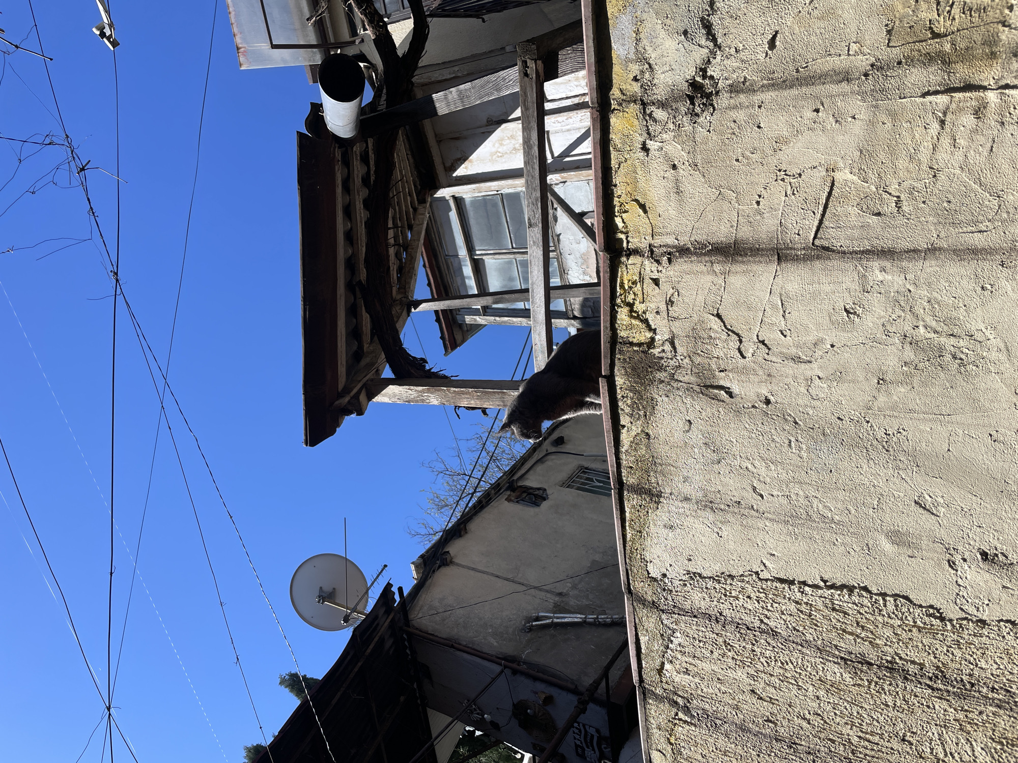 An upward-angled outdoor shot of buildings, infrastructure, and a cat in Tbilisi, Georgia, under a clear blue sky. Electrical wires run across the sky. A satellite dish is mounted on the roof of one building. The buildings feature a mix of construction materials, including concrete, wood, and metal. A gray cat is perched near the edge of a roof. A white cylindrical object is attached to the side of a building.