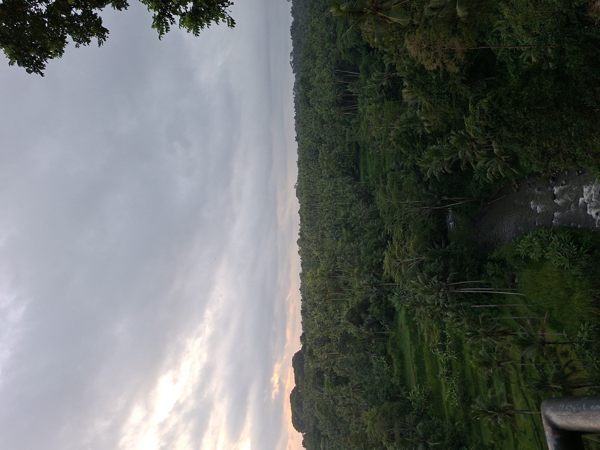 The image shows a view of a lush, dense jungle landscape in Ubud District, Indonesia. A river runs through the jungle. The sky is overcast with a combination of grey and light clouds. A portion of a metal railing is visible at the bottom right. There are rice paddies below the trees on the right.