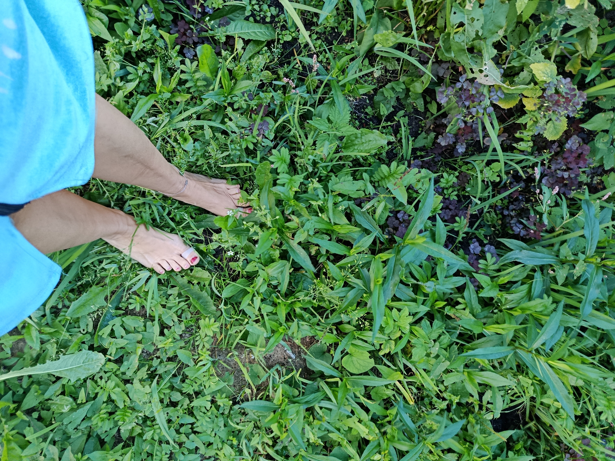 A first-person perspective shot shows a person's legs and feet standing on lush green grass and foliage. The person is wearing a bright blue garment on their left leg and hip. Their bare feet are visible, with the left foot showing a silver anklet and the right foot showing a sliver of red nail polish. The ground is covered with various plants, including broad leaves, grass, and some darker, purple-hued vegetation in the upper right quadrant. The scene appears to be an outdoor setting, possibly a garden or a park, in the city of Vereya, Russia, given the provided context. There is no evidence of any specific structures or landmarks indicating a precise location within the city.