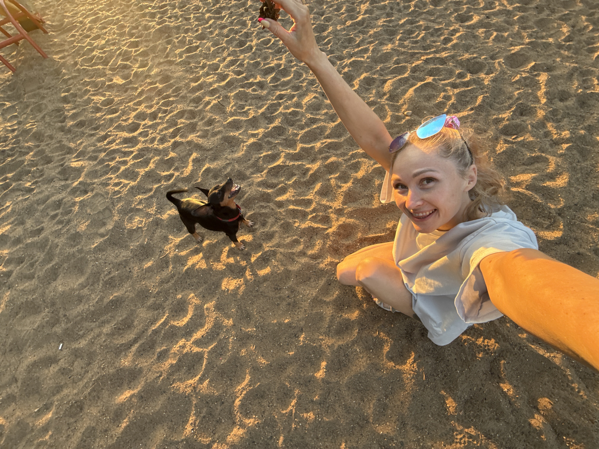 A blonde woman wearing a white t-shirt and blue-tinted sunglasses is kneeling on the sand, holding a dark-colored object above her head. Her arm is outstretched, capturing a selfie. A small, black dog with brown markings is standing nearby, looking up at the object. The ground is sandy, with patterns indicating it is a beach. The lighting suggests it is near sunrise or sunset.
The scene takes place on the sandy beach of the Kama River, along the city of Chaikovsky, Russia. The photo was taken at sunset or sunrise by the woman, posing with her dog on the beach.