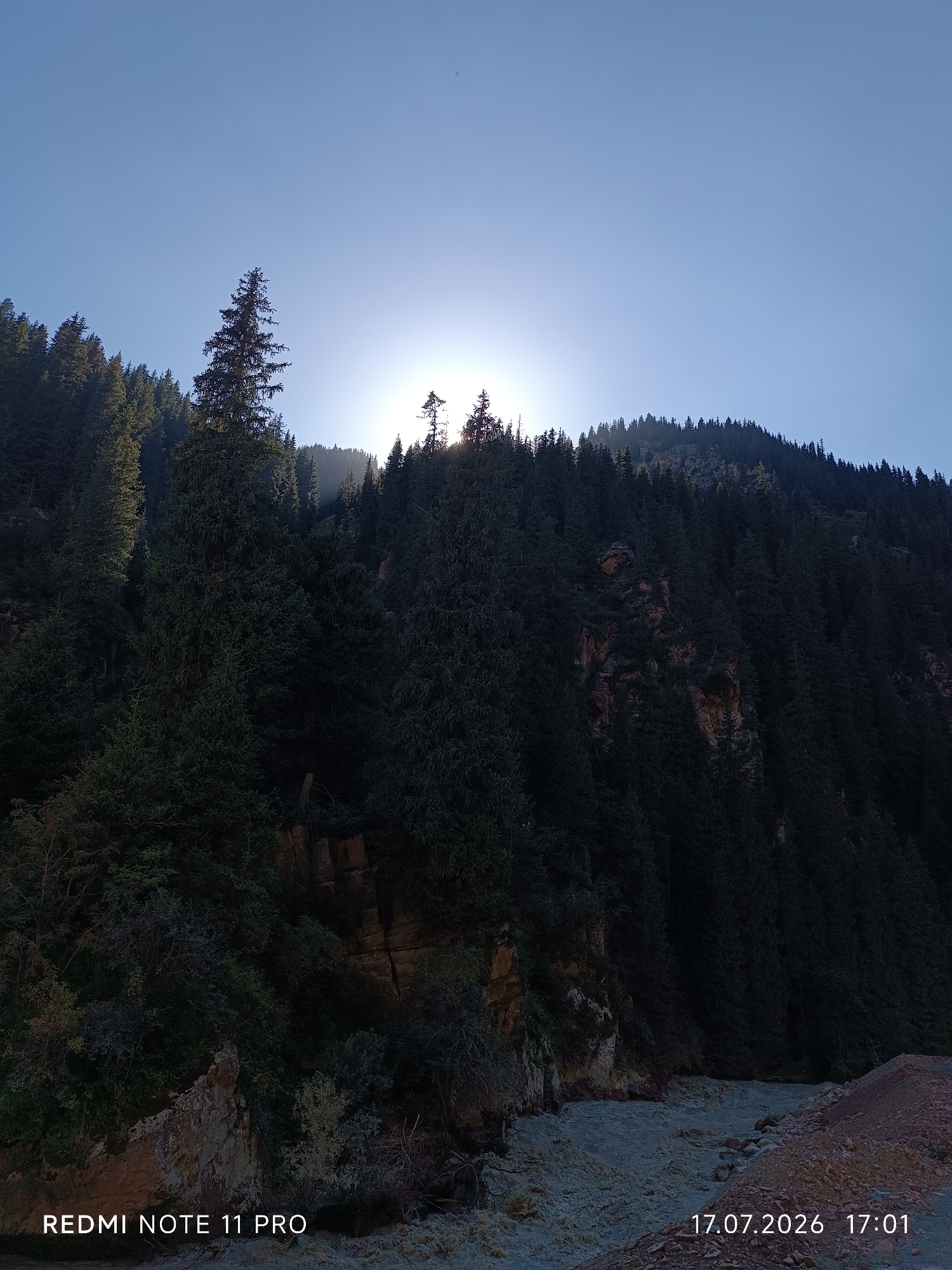 The image depicts a sunlit mountain slope covered in dense coniferous forest. The sun is low in the sky, partially obscured by trees, casting long shadows and creating a dramatic backlight effect. A riverbed with rocky, reddish-brown terrain is visible in the foreground, leading towards the forested mountainside. The sky is a clear, pale blue. Watermarks indicating "REDMI NOTE 11 PRO" and "17.07.2026 17:01" are present in the lower corners of the image. The location is identified as Grigor'yevka, Kyrgyzstan.