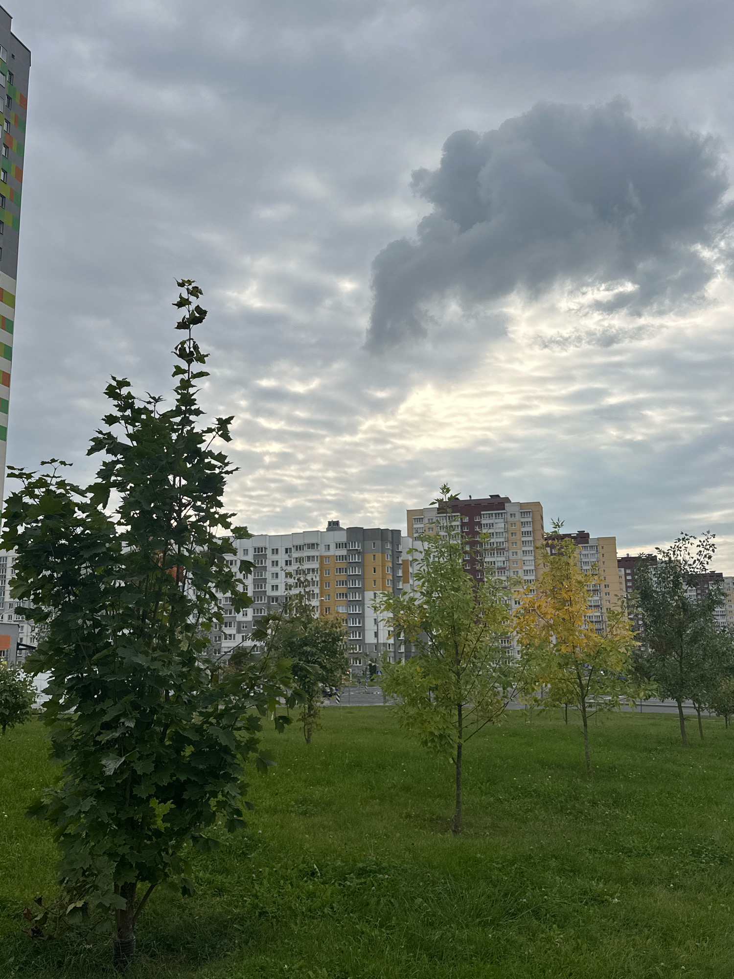 The image captures an overcast sky over a residential area in Minsk, Belarus. In the foreground, a neatly mowed green lawn is interspersed with several young trees. The tree on the far left is full and green, while the trees to its right show varying degrees of autumn foliage, with some displaying yellow and green leaves. In the background, a row of multi-story apartment buildings with colorful facades is visible. The buildings have a repeating pattern of windows and balconies. The sky is filled with thick, grey clouds, with a bright patch of light breaking through in the upper right quadrant, creating a dramatic contrast with the overall somber atmosphere.