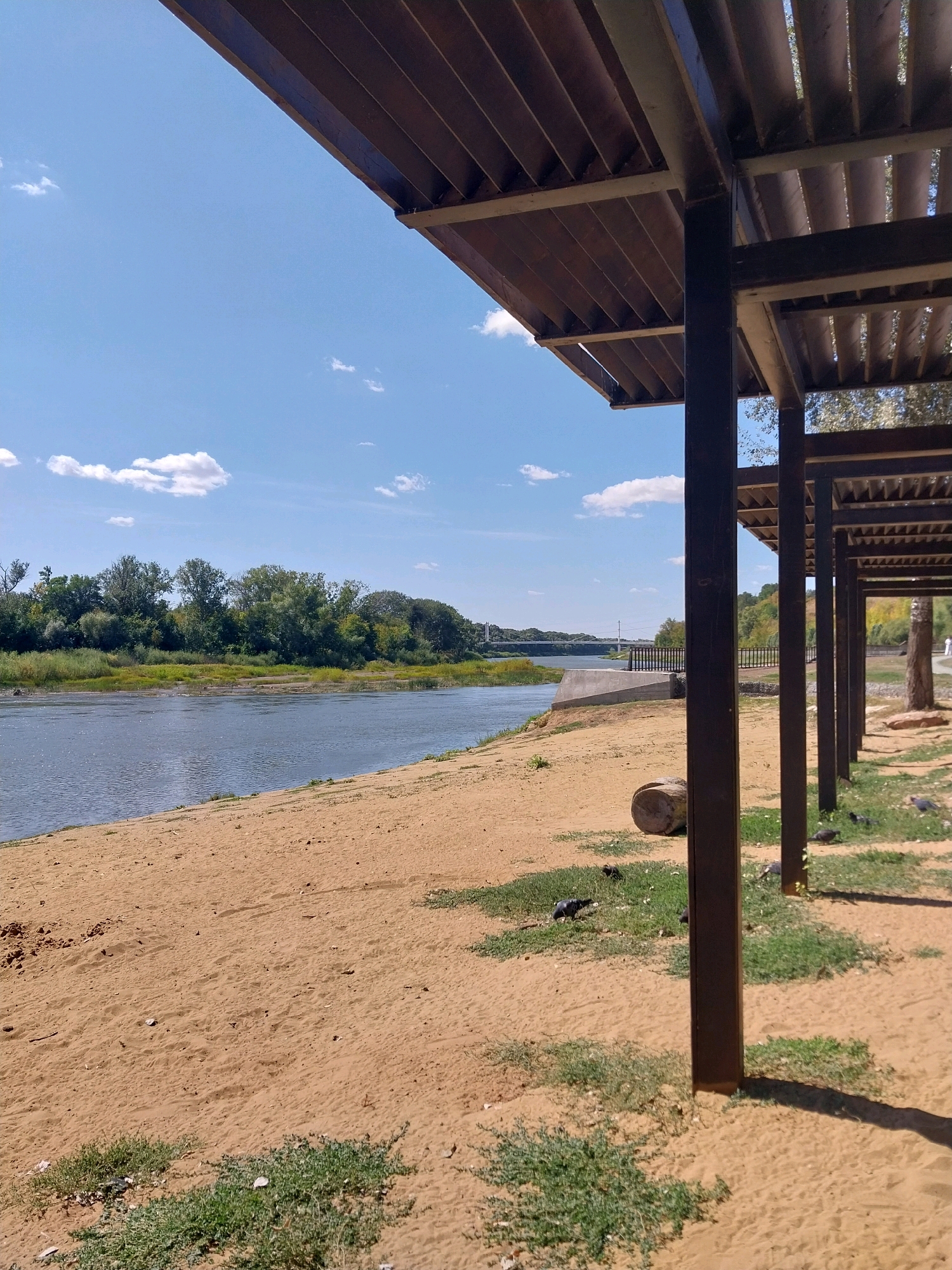 The image captures a sunny day at a sandy riverbank, likely in Orenburg, Russia. In the foreground, a series of dark brown wooden pillars support a slatted roof, creating a shaded area. The sandy ground is interspersed with patches of green grass. To the left, a wide, calm river flows, with its surface reflecting the blue sky and scattered white clouds. Across the river, a dense line of green trees forms the opposite bank. In the distance, a bridge spans the river, and a faint outline of structures can be seen beyond. Several pigeons are visible on the sandy and grassy areas. A log lies on the sand near the pillars. The overall atmosphere is tranquil and summery.
