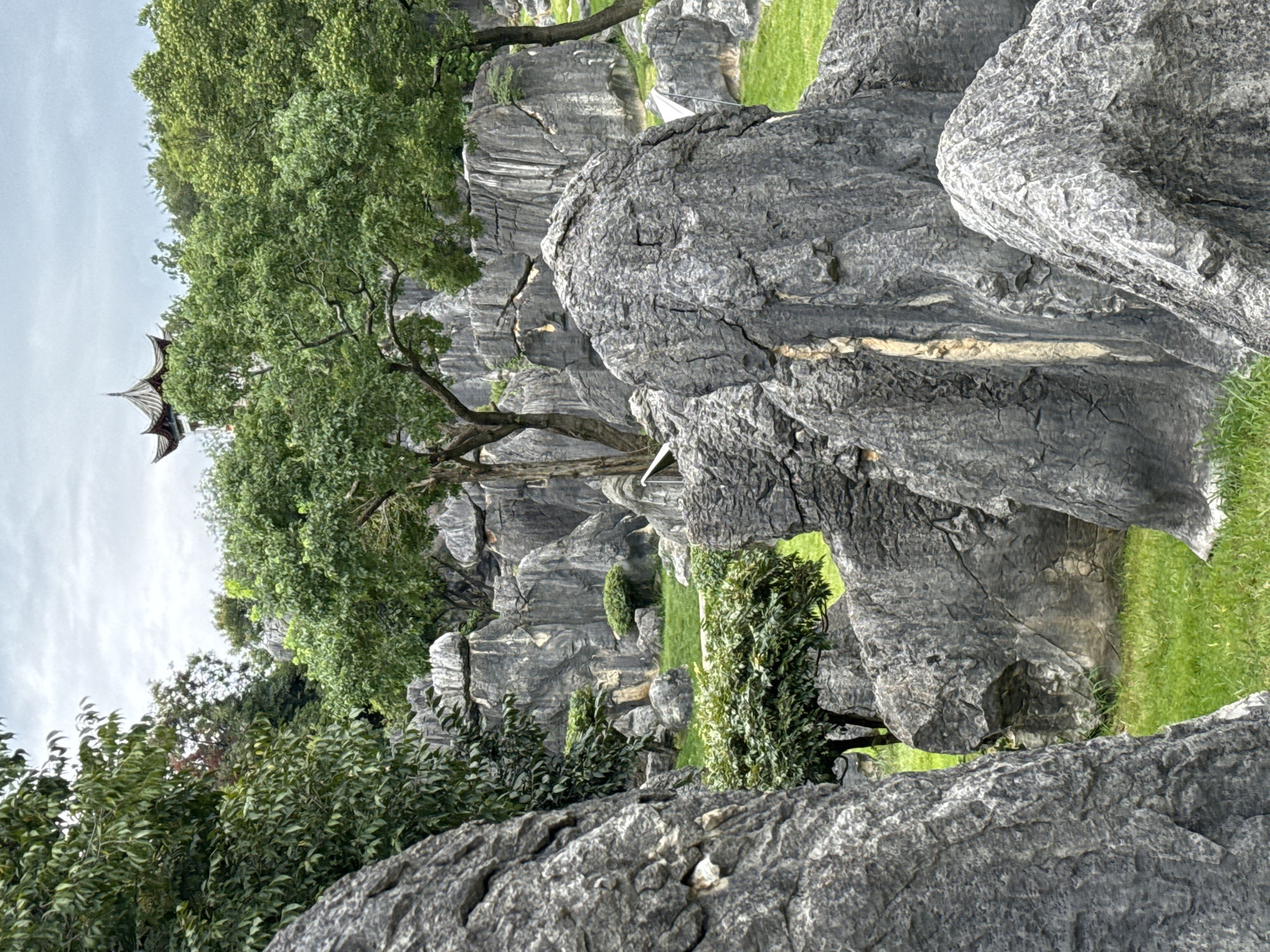 This image depicts the Stone Forest, a UNESCO World Heritage site located in Kunming, China. The foreground is dominated by large, grey limestone karsts, intricately shaped and weathered. Lush green grass covers the ground between these rocky formations. In the mid-ground, a variety of trees and manicured shrubs add pops of vibrant green to the landscape. One tree in particular stands out, its branches reaching towards the sky. In the distance, peeking above the dense foliage, is a traditional Chinese pagoda with a multi-tiered roof. The sky is overcast, contributing to the diffused lighting of the scene. There are no people visible in the image.