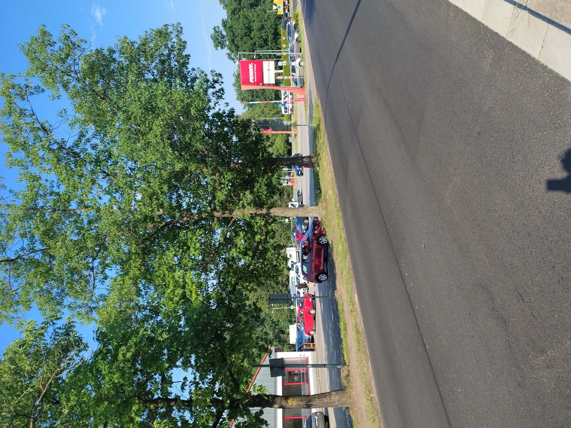 In Hluboká nad Vltavou, Czechia, a sunny day presents a scene dominated by mature trees with full green canopies framing a parking lot and a roadway. On the left, a building with a white facade and large red-framed windows is visible, possibly a commercial establishment. A parking lot in front of the building contains several cars, including a red hatchback and a silver sedan parked near the entrance. Further into the parking lot, a PENNY Market sign stands tall, a bright red rectangular structure with white lettering, indicating a supermarket. More vehicles are parked in the vicinity of the PENNY Market. A black car is parked on the right side of the roadway, partially obscured by a tree. The roadway itself is asphalt, with a clear lane marking. The sky is a vibrant blue with a few scattered clouds. The overall environment suggests a commercial area on the outskirts of town, with ample parking and green spaces.