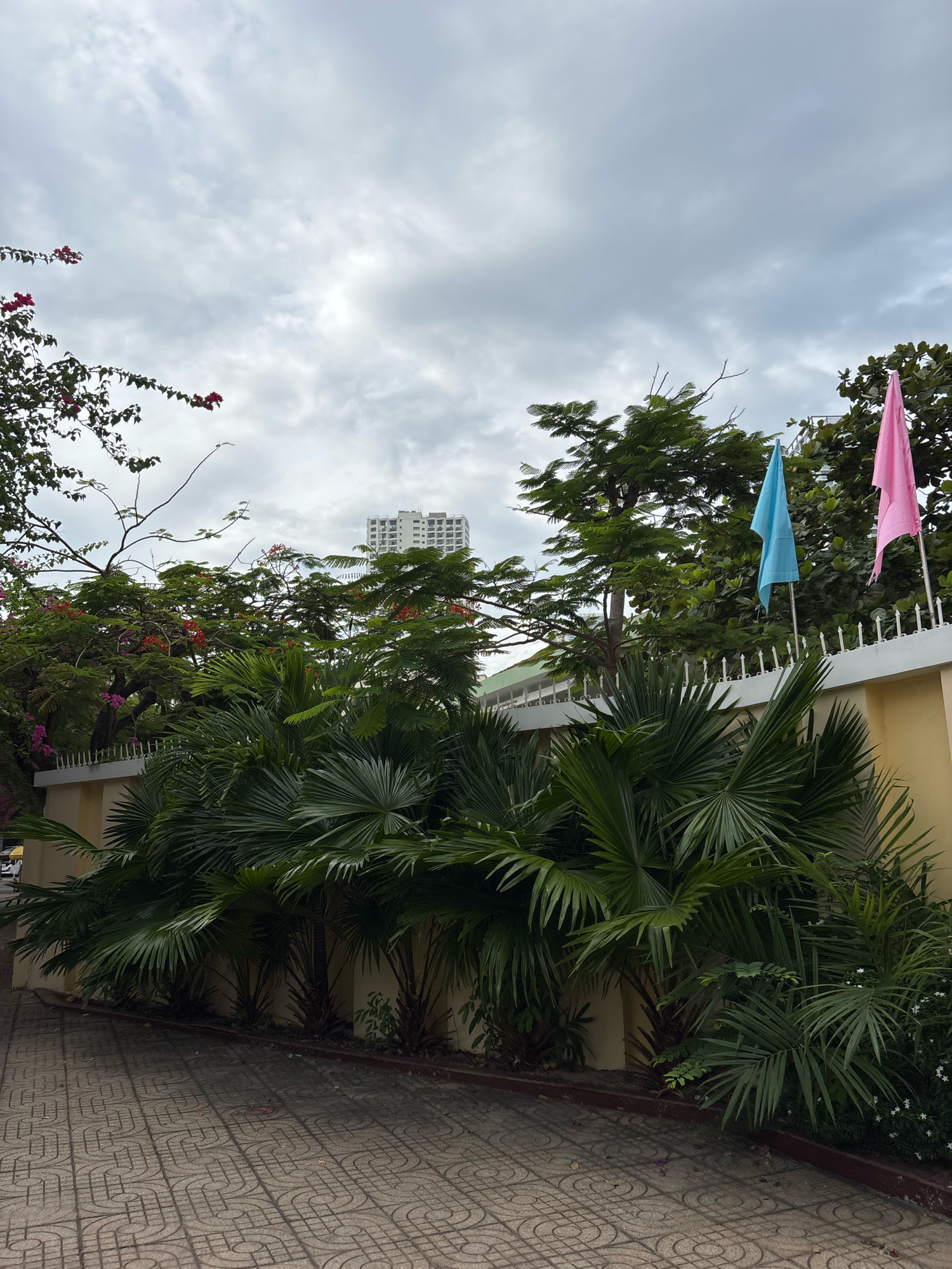 The image depicts a scene in Nha Trang, Vietnam, characterized by lush tropical foliage, a decorative wall, and a cloudy sky. In the foreground, a patterned tiled walkway is visible. Behind it, a low, cream-colored wall topped with a white fence runs horizontally across the frame. A row of large, leafy palm plants is planted along the wall. Behind the palms, a dense arrangement of trees with green foliage and some red and pink flowers can be seen. Two flags, one light blue and one pink, are mounted on poles and extend upwards from behind the wall. In the background, a tall, white, multi-story building stands against the overcast sky. The overall impression is one of a well-maintained outdoor area, possibly a park or the grounds of a building, with a distinctly tropical feel.