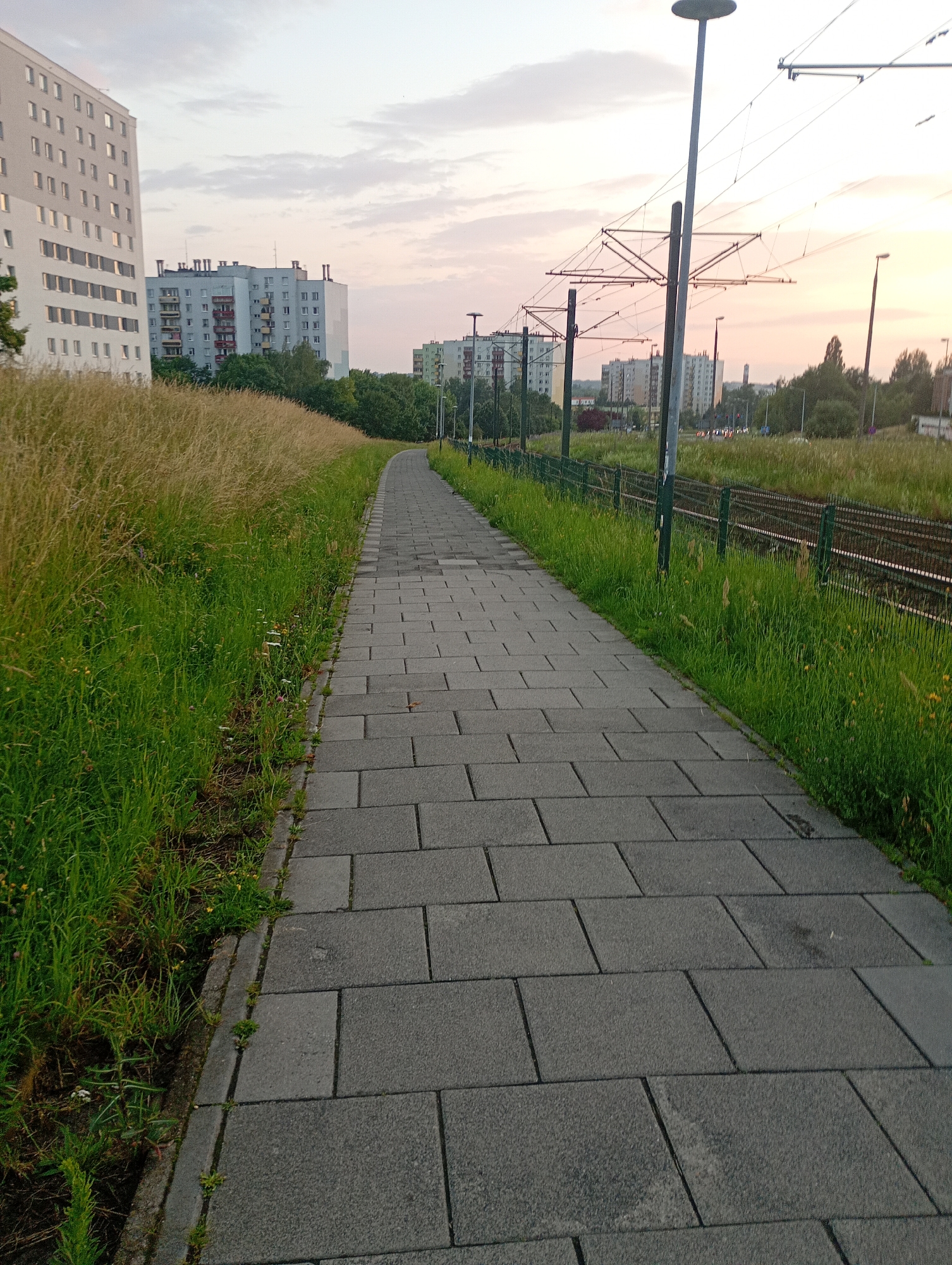 The image depicts a paved walkway in Krakow, Poland, bordered by tall grass on the left and a fence with train tracks beyond on the right. In the background, several multi-story apartment buildings are visible, with tram power lines overhead. The sky is overcast with soft, pastel colors, suggesting either dawn or dusk. There are no people or animals present in the scene. The walkway is constructed of large, rectangular grey pavers, laid in a repeating pattern. The grass is a mix of green and dried stalks. The overall impression is one of an urban fringe, possibly near a residential area and a transportation corridor.