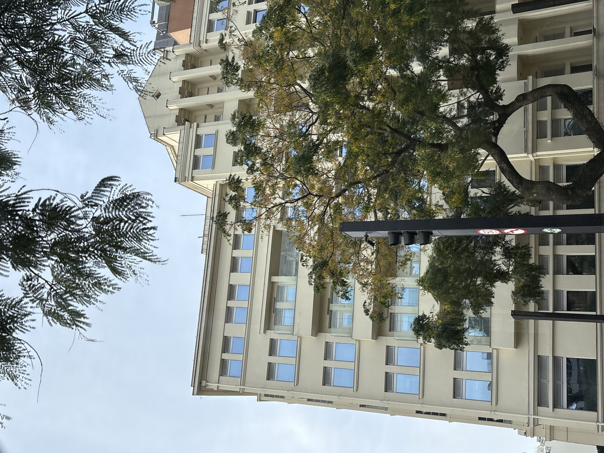 This is a medium shot, eye-level, outdoor photograph of a modern, pale yellow, multi-story building in the city of São Paulo, Brazil. The building has a symmetrical facade with numerous windows, many of which are tinted blue. Some of the windows are covered with horizontal blinds. There are also balconies with glass railings. The building has a decorative architectural style at its peak. In the foreground, a large tree with green and some yellowing leaves partially obscures the building. The tree has thick, winding branches. A black traffic light pole with a circular speed limit sign is visible to the right of the tree. The sky above is overcast and pale blue. The image captures a typical urban street scene with a blend of architecture and nature.